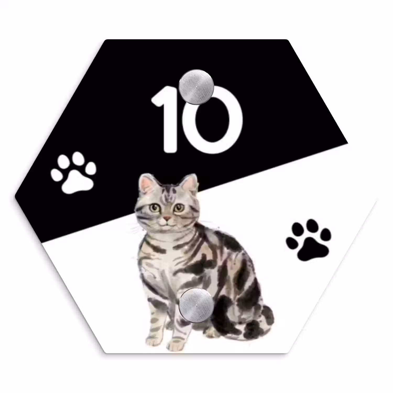 Zwart wit - Huisdier - Zilvergrijs gestreepte kat Naambord Hexagon klein -3d