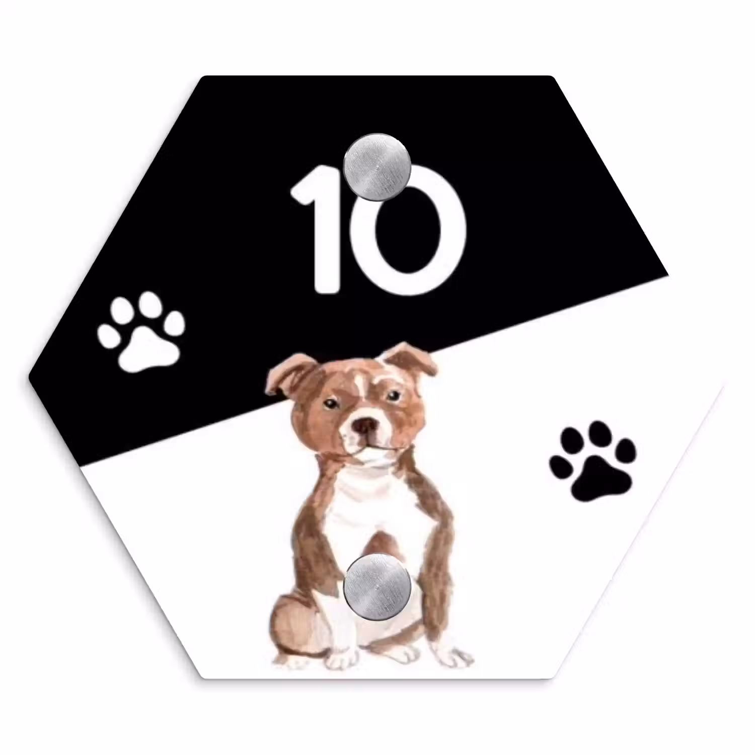 Zwart wit - Huisdier - Staffordshire bullterriër Naambord Hexagon klein -3d
