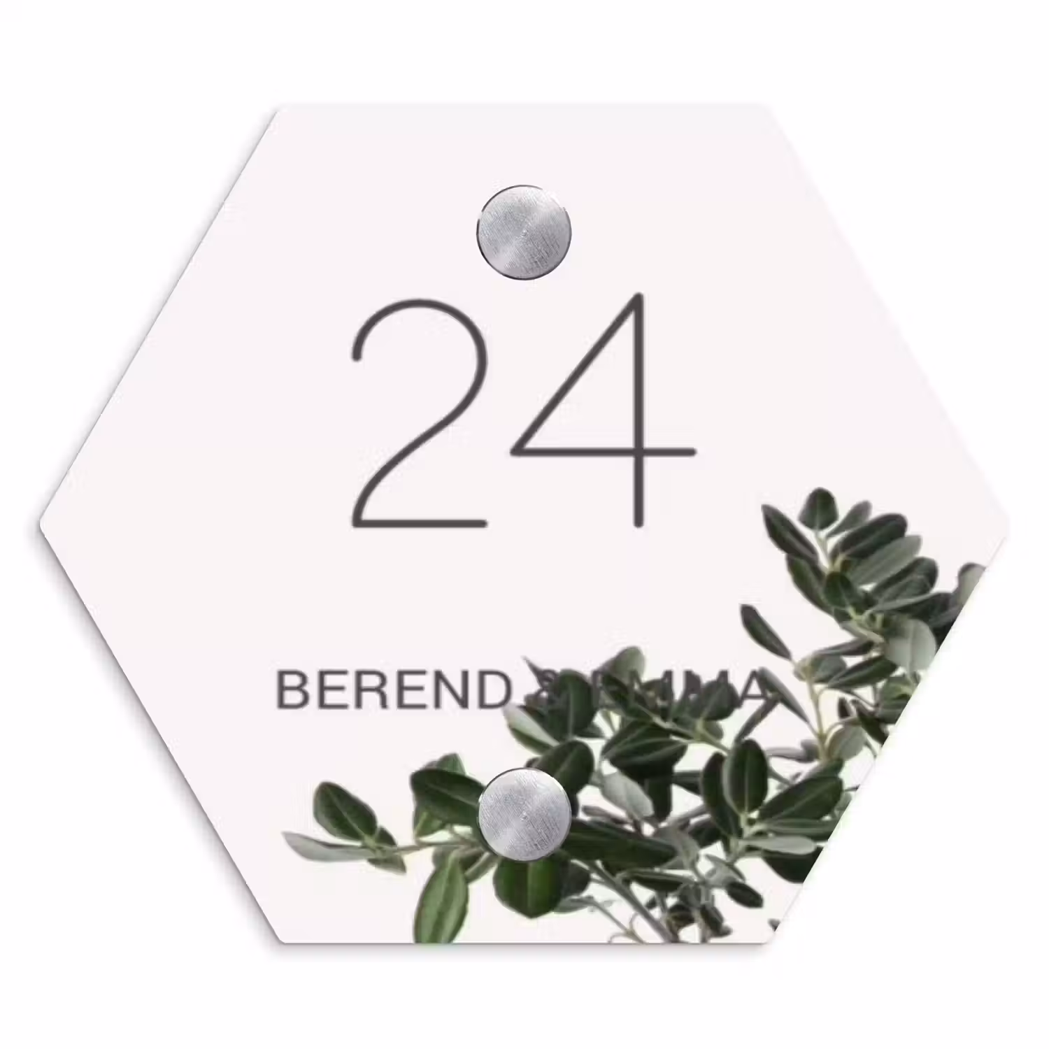 Wit met bladeren - Klassiek Naambord Hexagon klein -3d