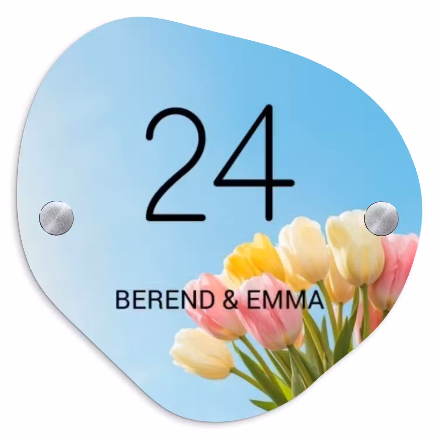 Gekleurde tulpen lucht - Klassiek Naambord Organisch middel -3d