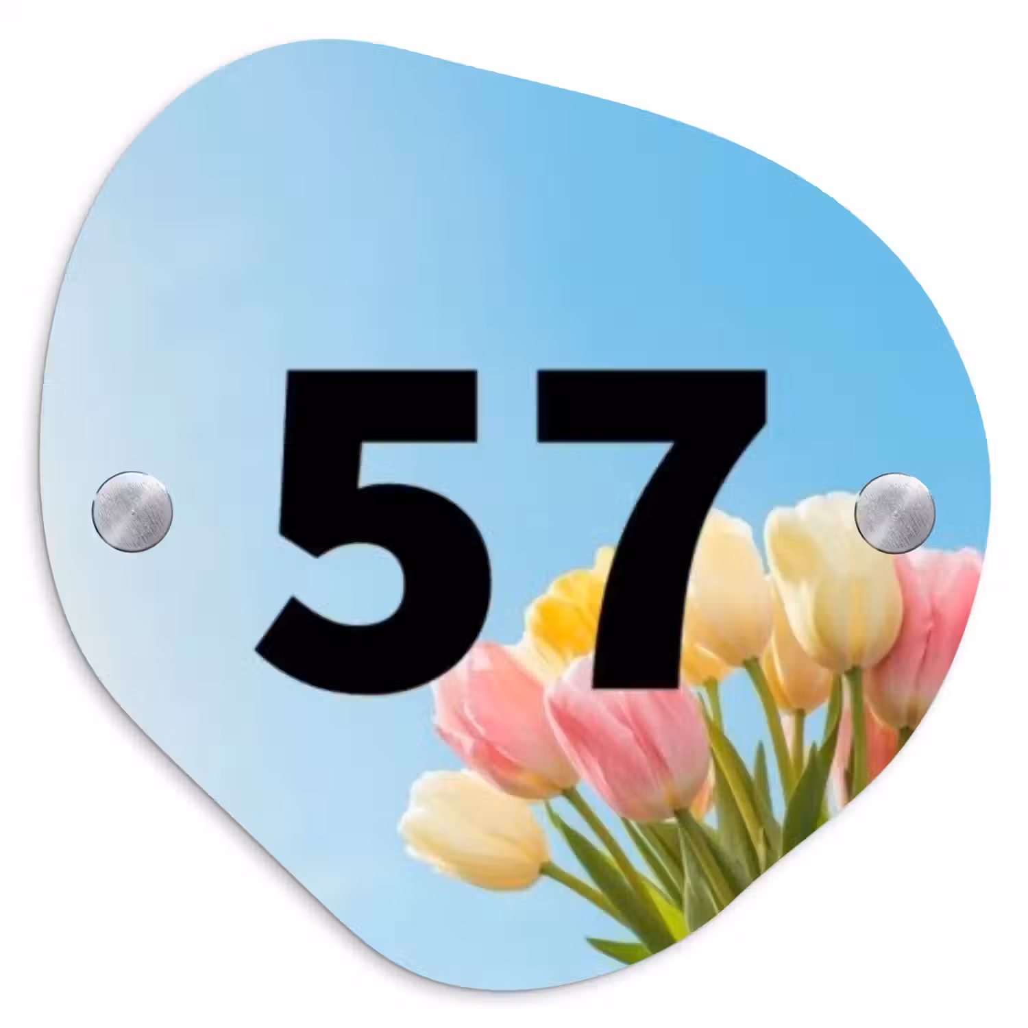 Gekleurde tulpen lucht - Traditioneel Naambord Organisch middel -3d