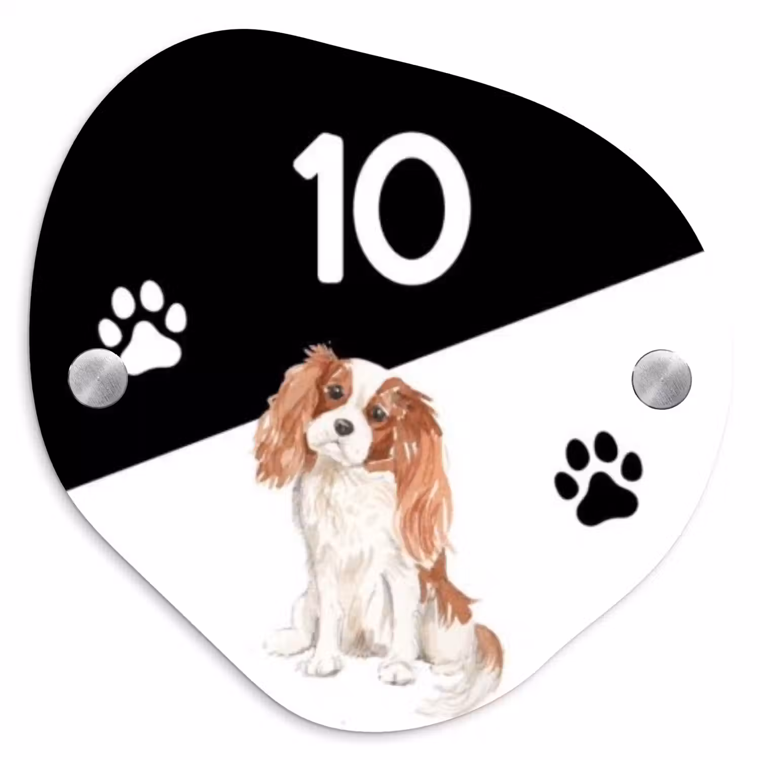 Zwart wit - Huisdier - Cavalier King Charles Spaniël Naambord Organisch middel -3d