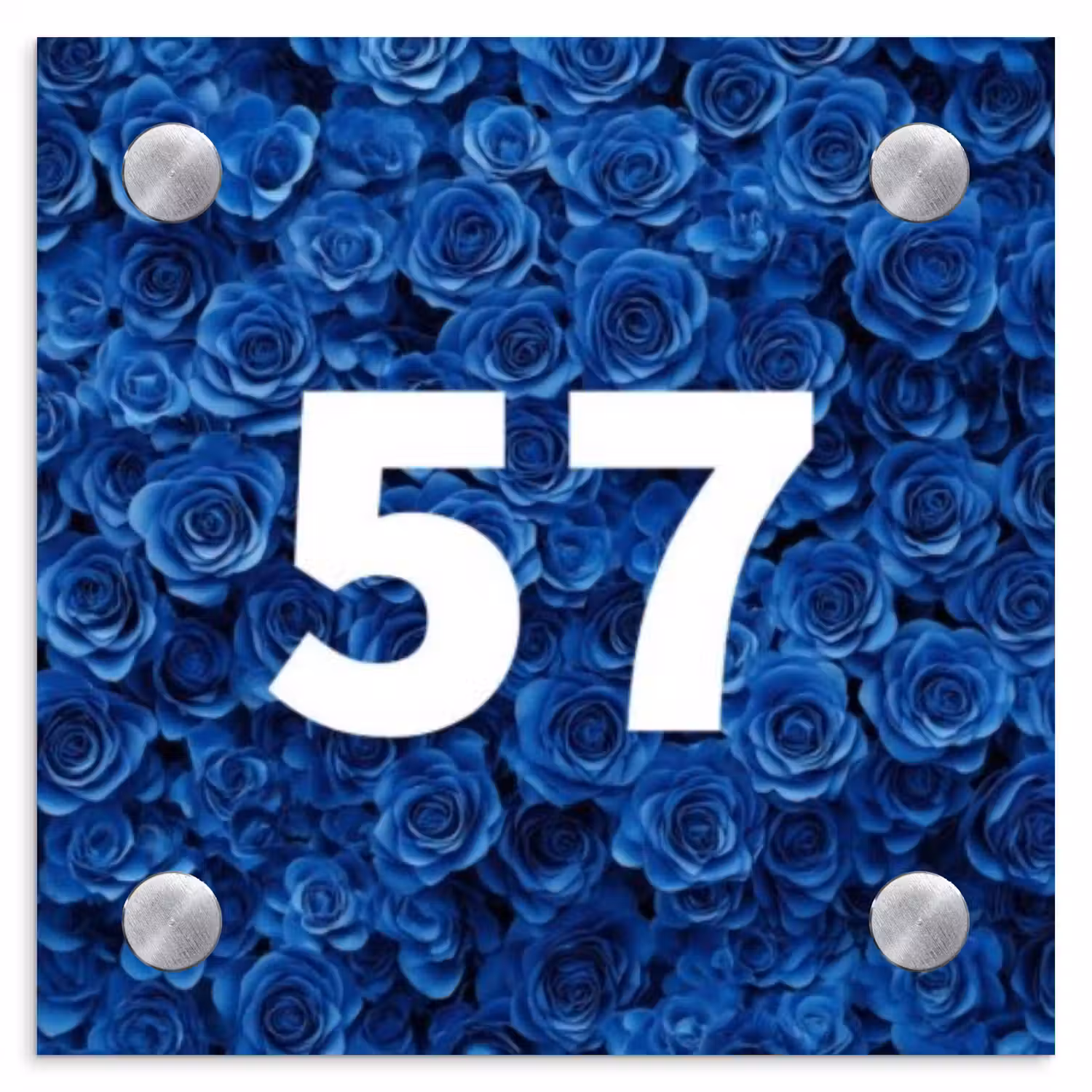 Blauwe rozen - Traditioneel Naambord Vierkant klein -3d