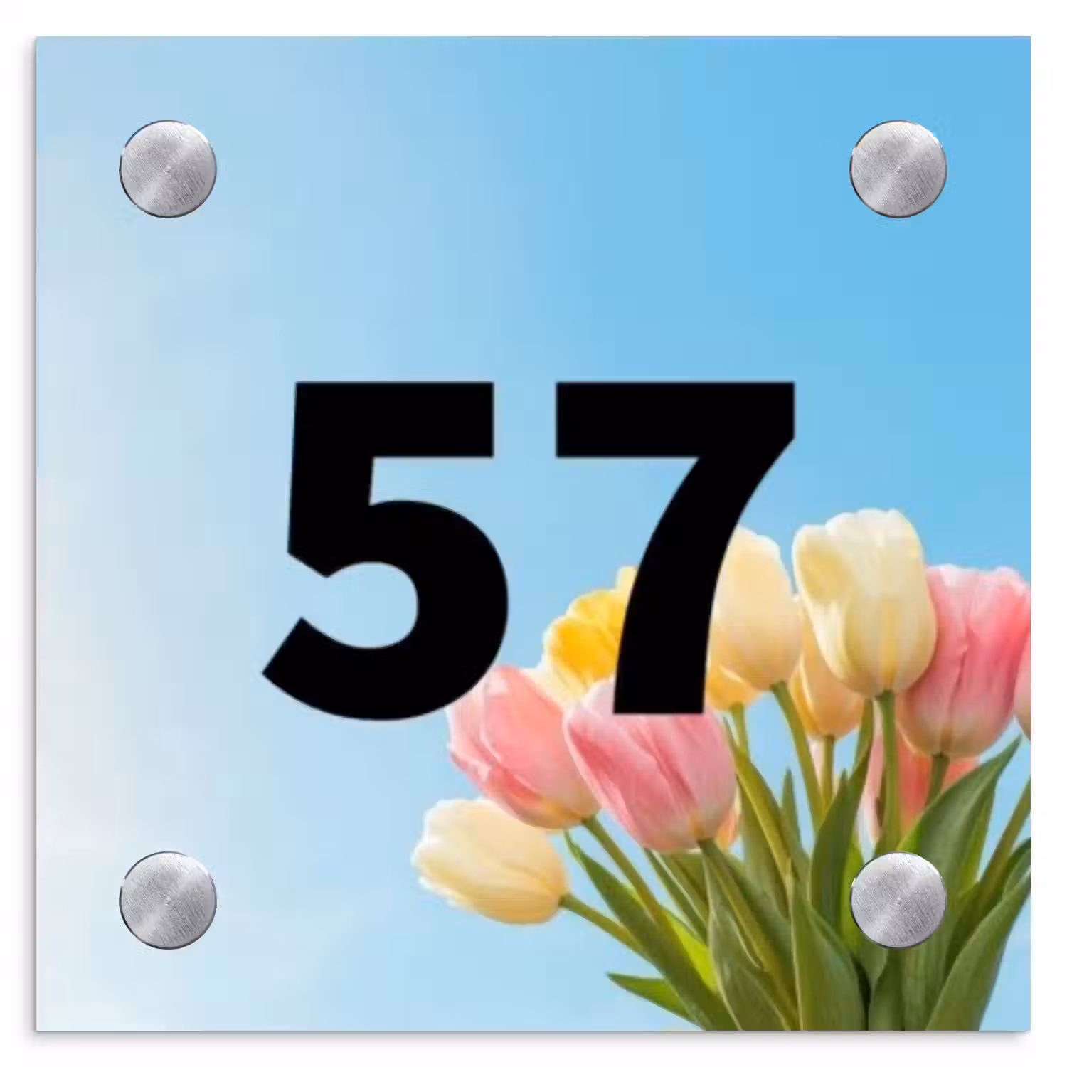 Gekleurde tulpen lucht - Traditioneel Naambord Vierkant klein -3d