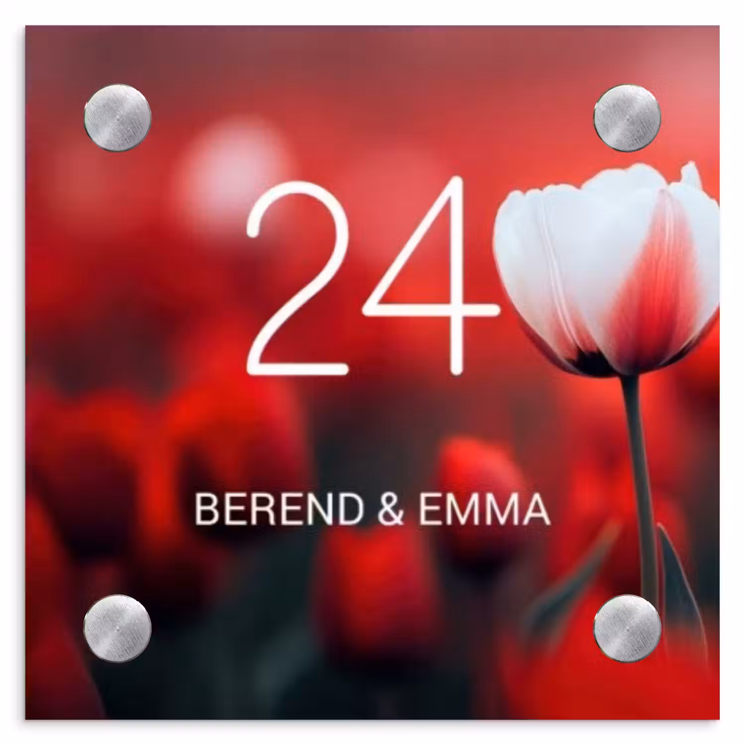 Rode tulpen - Klassiek Naambord Vierkant klein -3d