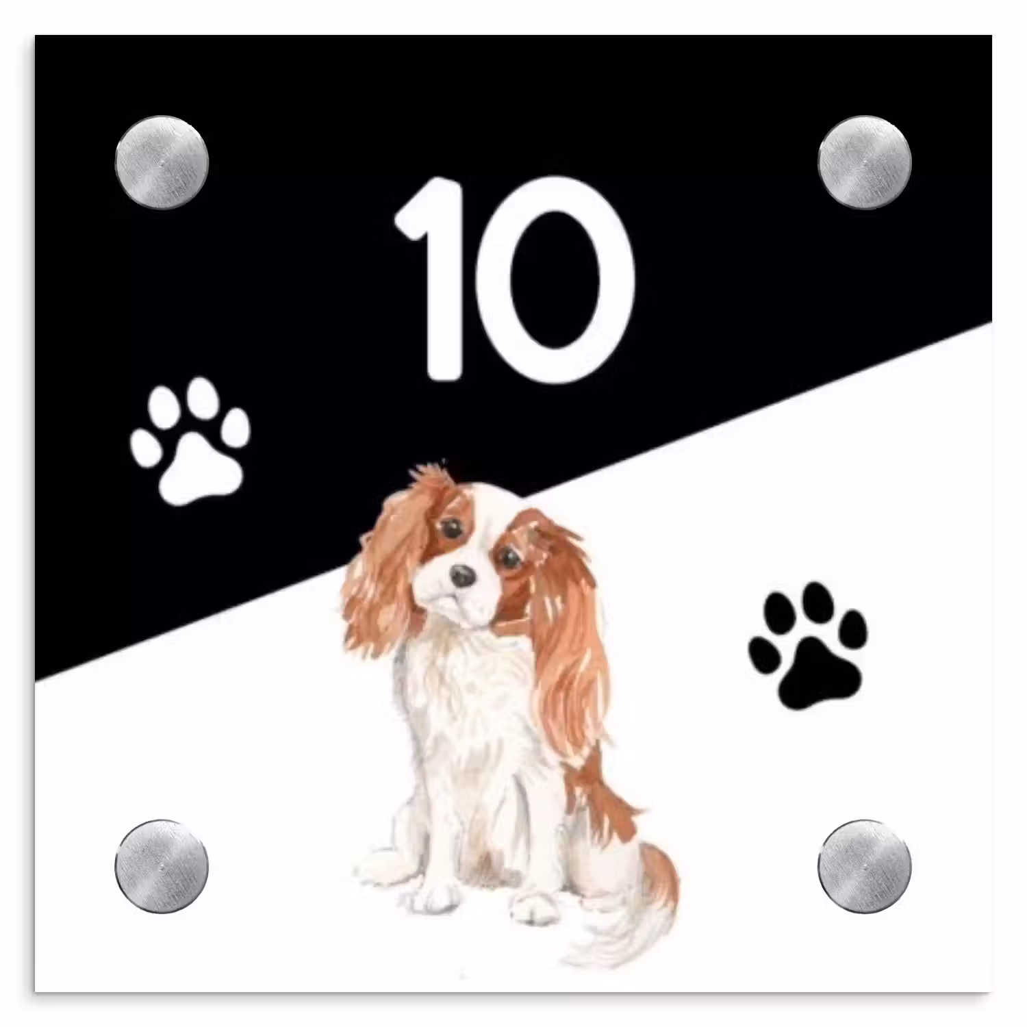 Zwart wit - Huisdier - Cavalier King Charles Spaniël Naambord Vierkant klein -3d