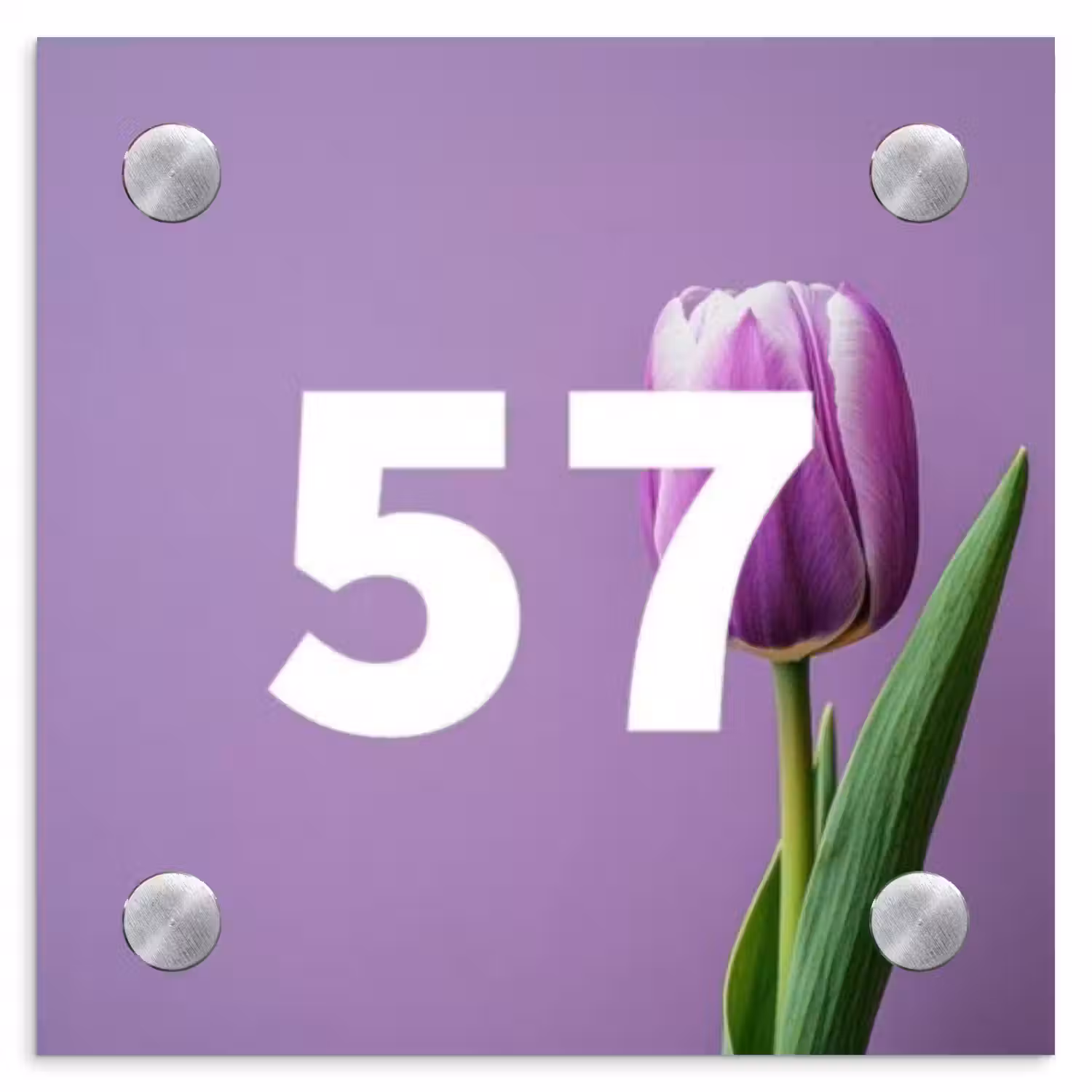 Paarse tulp - Traditioneel Naambord Vierkant klein -3d