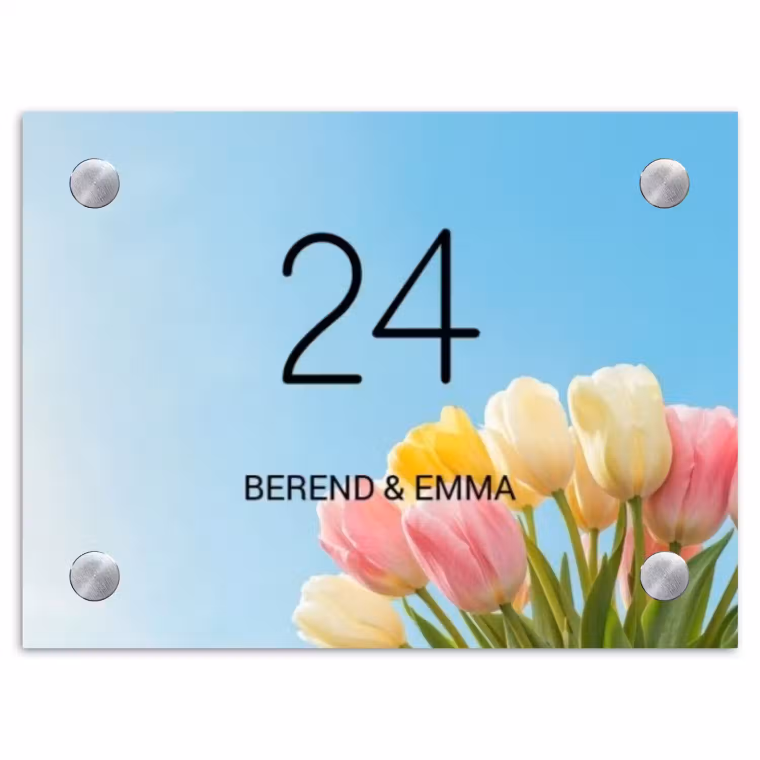 Gekleurde tulpen lucht - Klassiek Naambord Rechthoek middel -3d