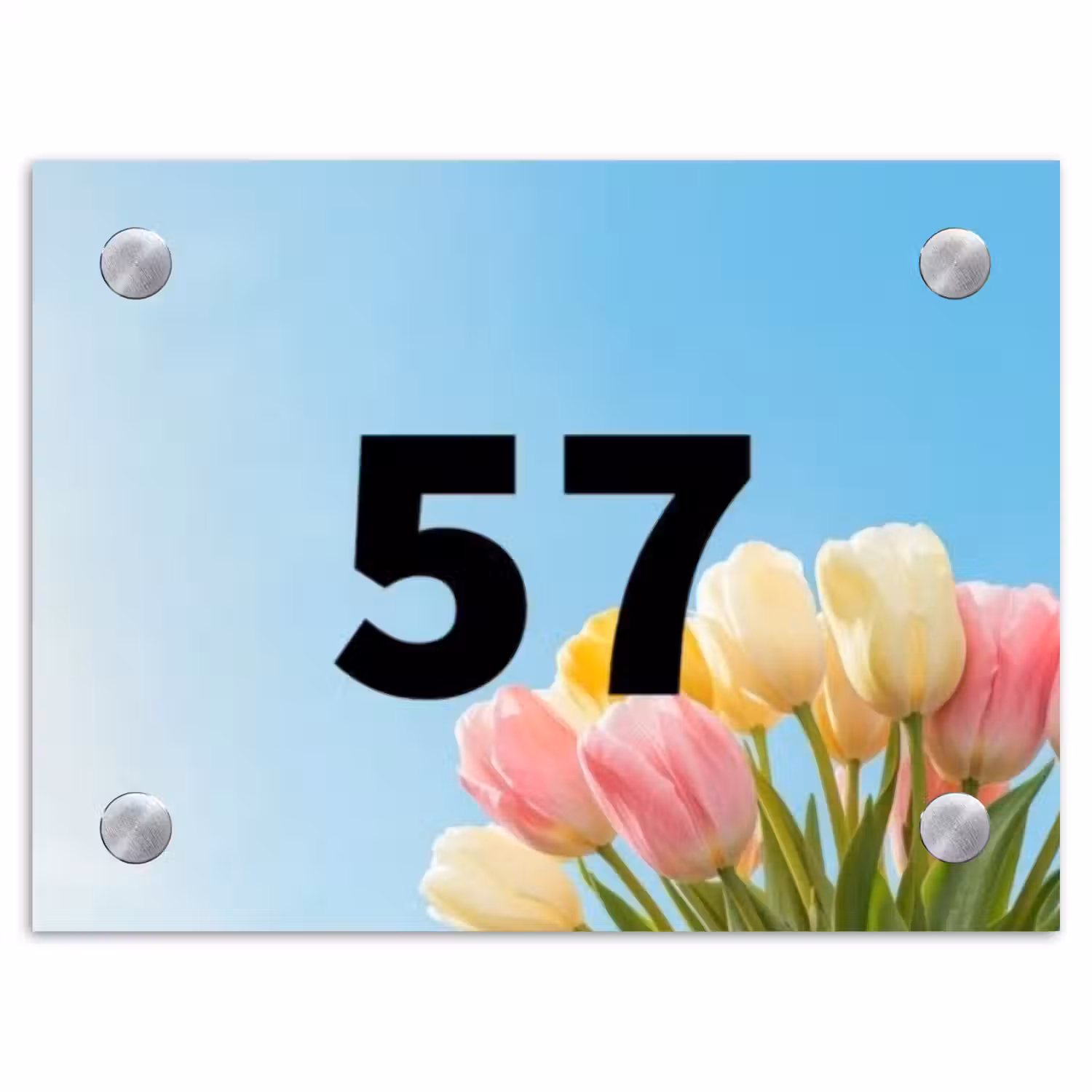 Gekleurde tulpen lucht - Traditioneel Naambord Rechthoek middel -3d
