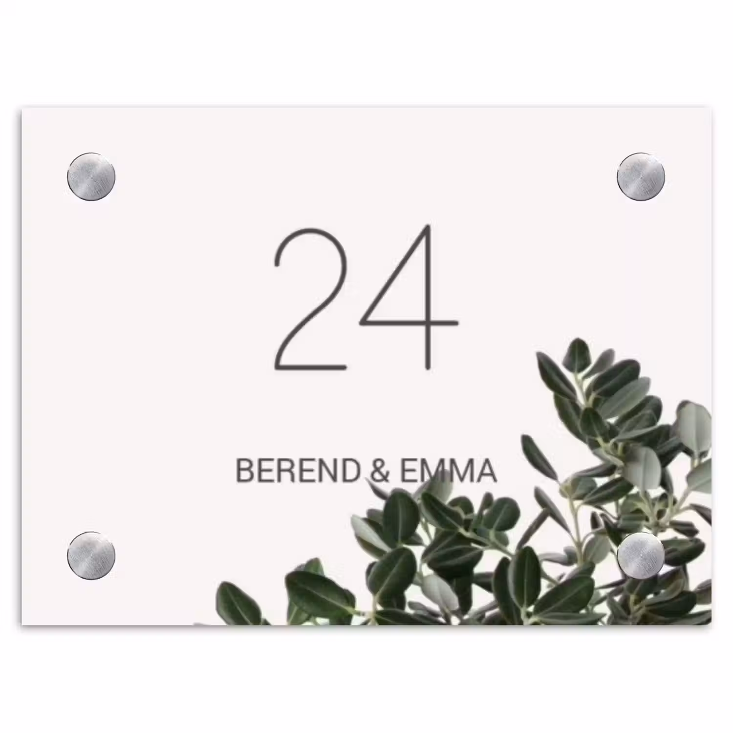 Wit met bladeren - Klassiek Naambord Rechthoek middel -3d