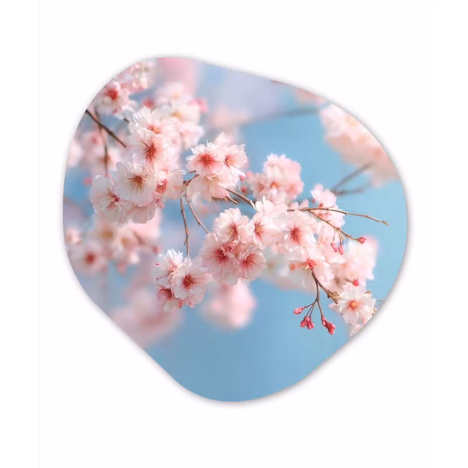 Takken - Bloesems - Roze Wandcirkel Organisch Aluminium middel -3d