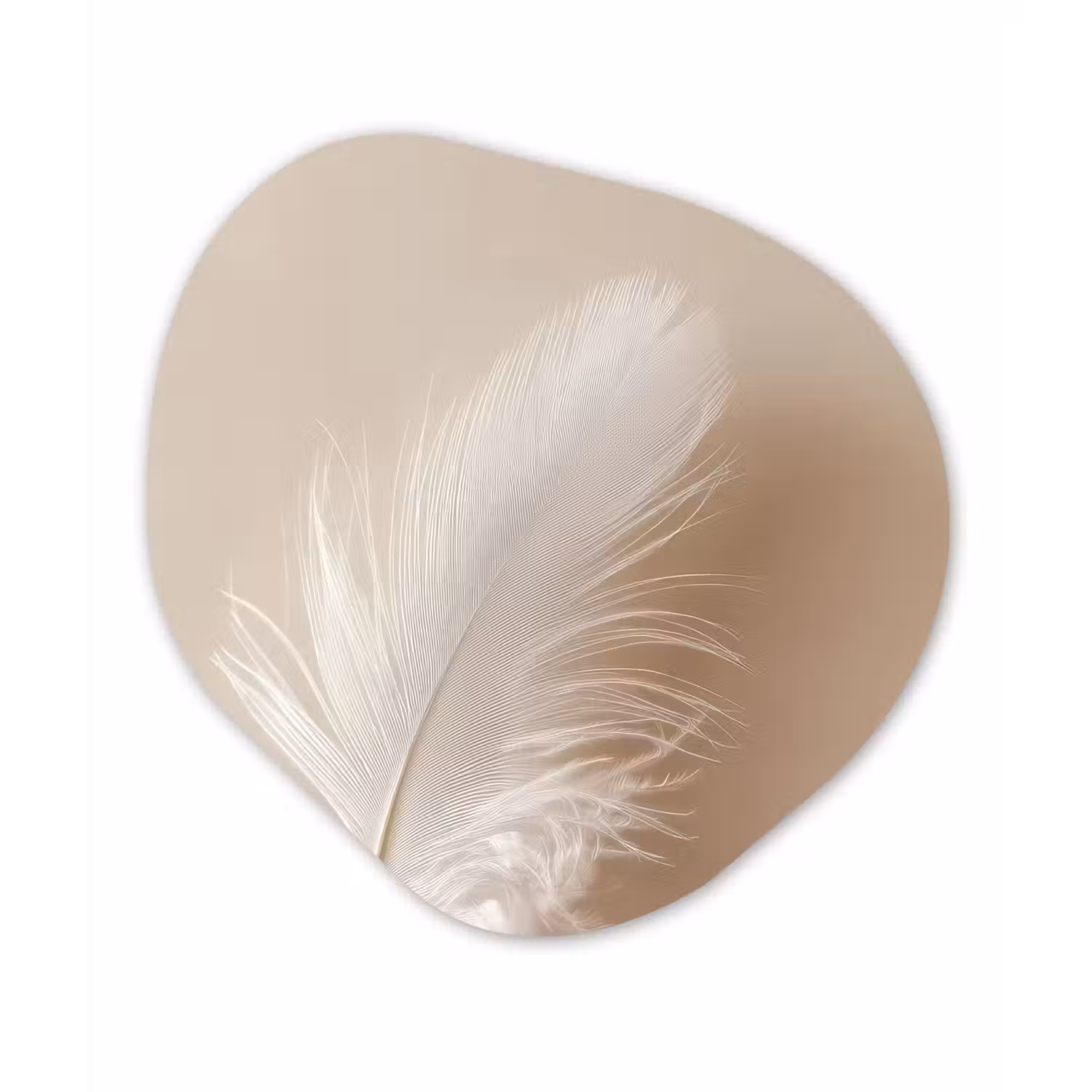 Veer - Minimalistisch - Roze Wandcirkel Organisch Aluminium middel -3d