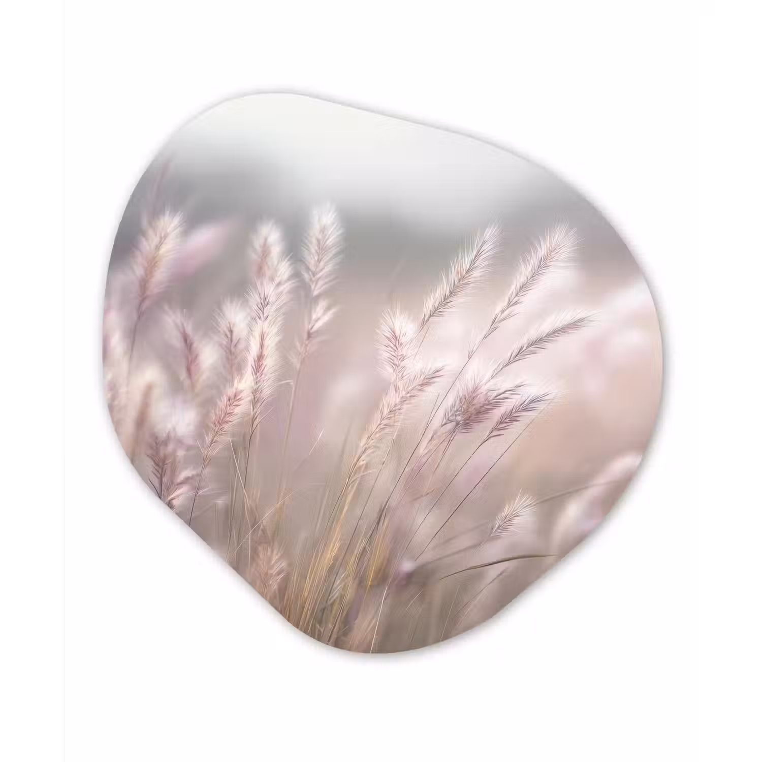 Graspluimen - Wind - Beige - Mistig Wandcirkel Organisch Aluminium middel -3d