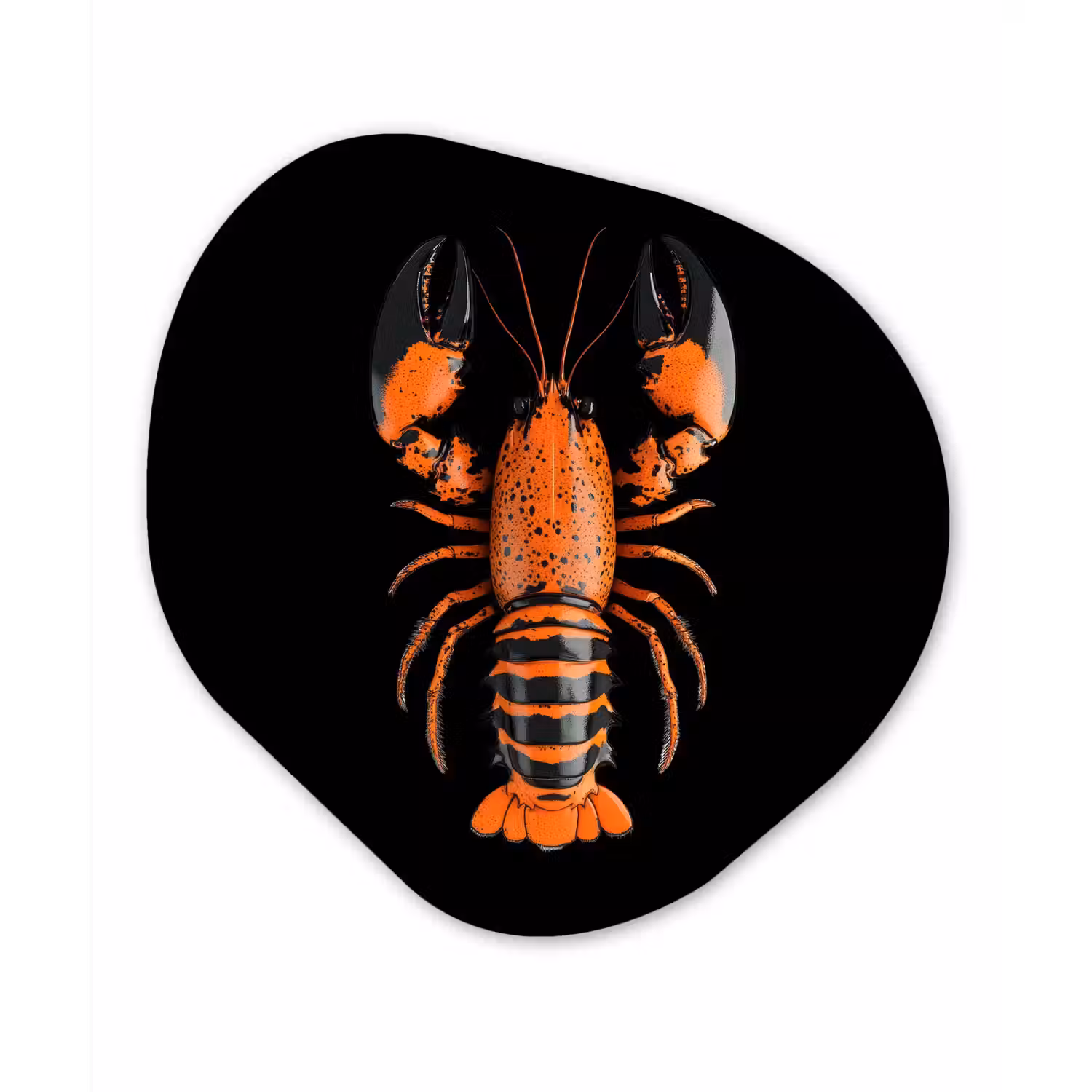 Kreeft - Oranje - Zwart - Modern Wandcirkel Organisch Aluminium middel -3d