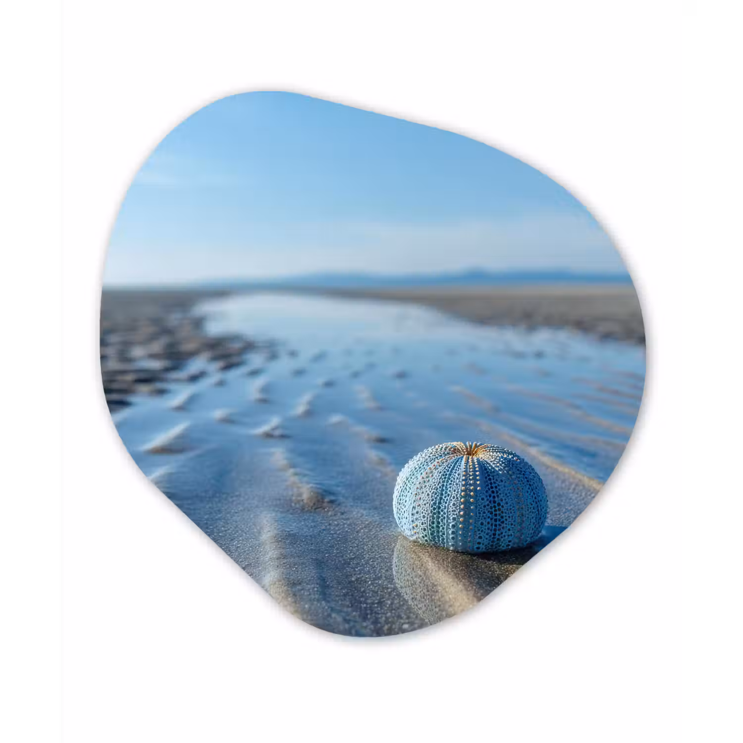 Strand - Schild - Water - Blauw Wandcirkel Organisch Aluminium middel -3d