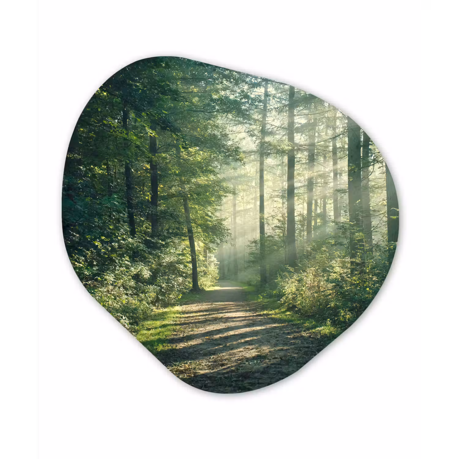 Bos - Pad - Zon - Bomen - Groen - Natuur Wandcirkel Organisch Forex 3mm klein -3d