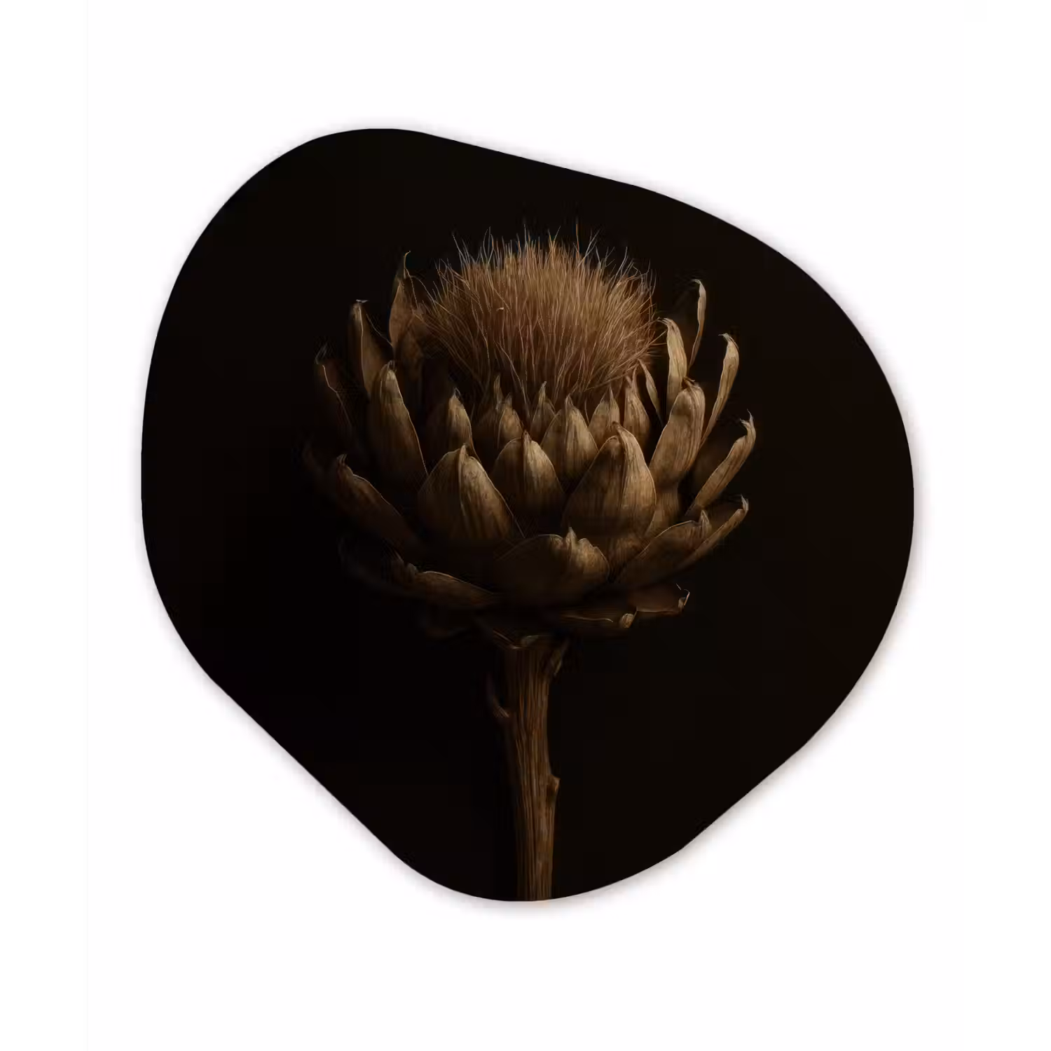 Donkerbruin - Bloem - Textuur - Artisjok Wandcirkel Organisch Plexiglas middel -3d