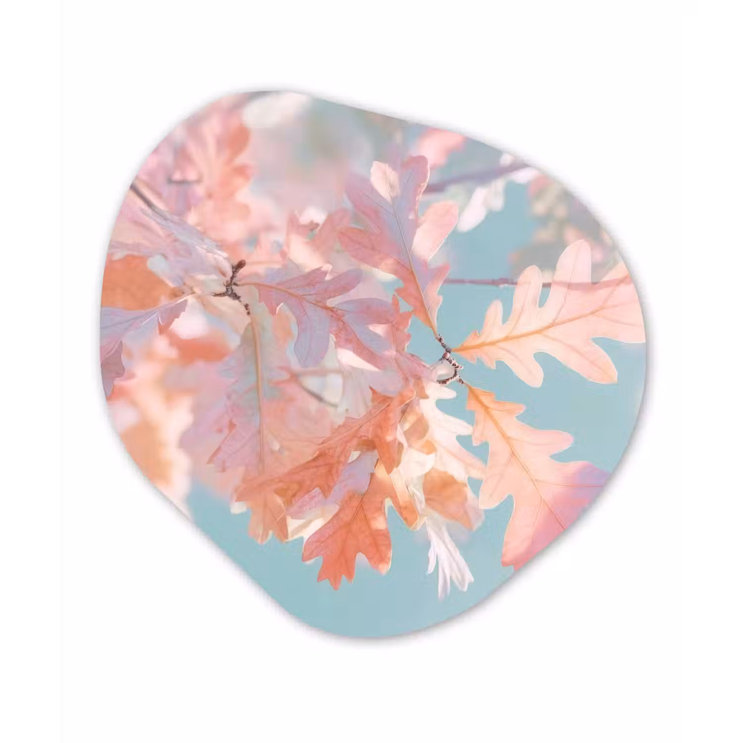 Eikenbladeren - Takken - Roze Wandcirkel Organisch Plexiglas middel -3d