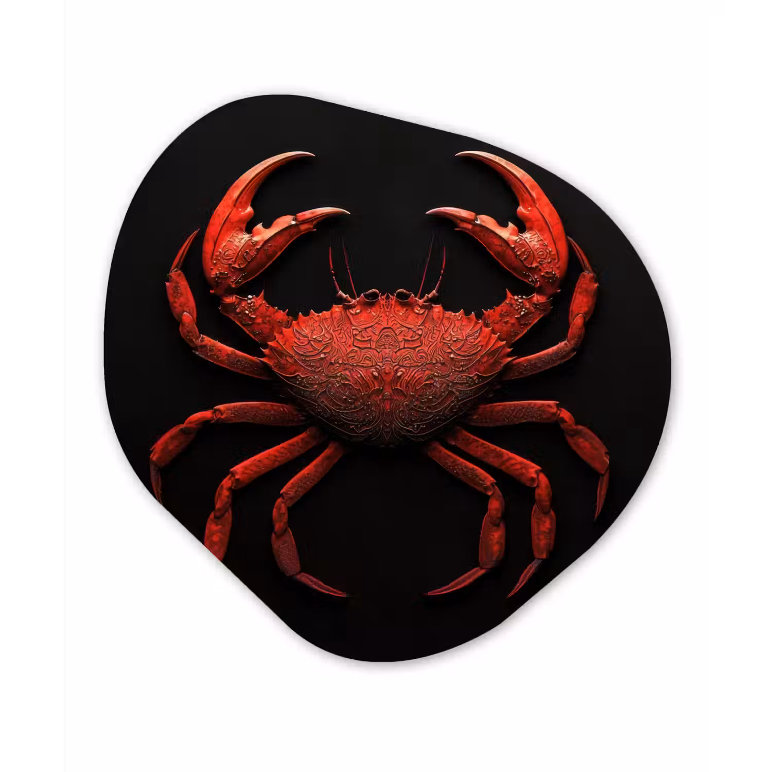 Krab - Rood - Vissen - Schaaldieren Wandcirkel Organisch Plexiglas middel -3d