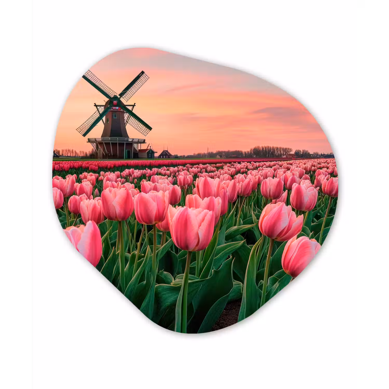 Tulpen - Molen - Nederland Wandcirkel Organisch Plexiglas middel -3d