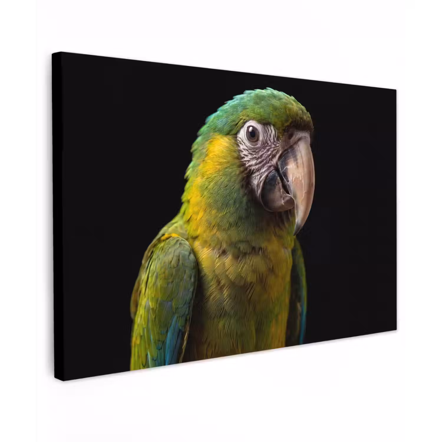 Ara - Portret - Groen Tuinposter op houten frame 2 cm dik klein -3d