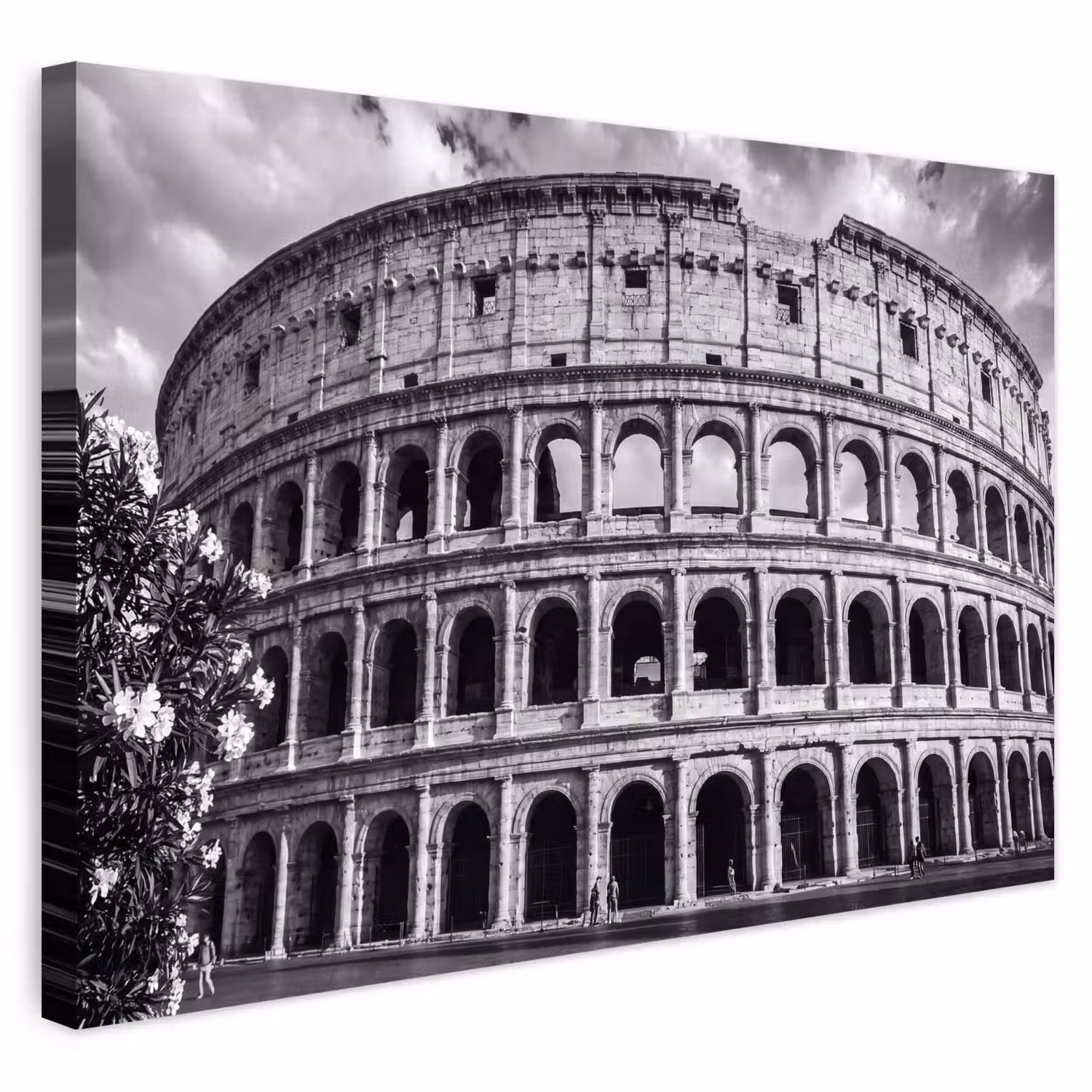 Architectuur - Colosseum - Rome - Historisch - Zwart-wit Tuinposter op houten frame 2 cm dik klein -3d