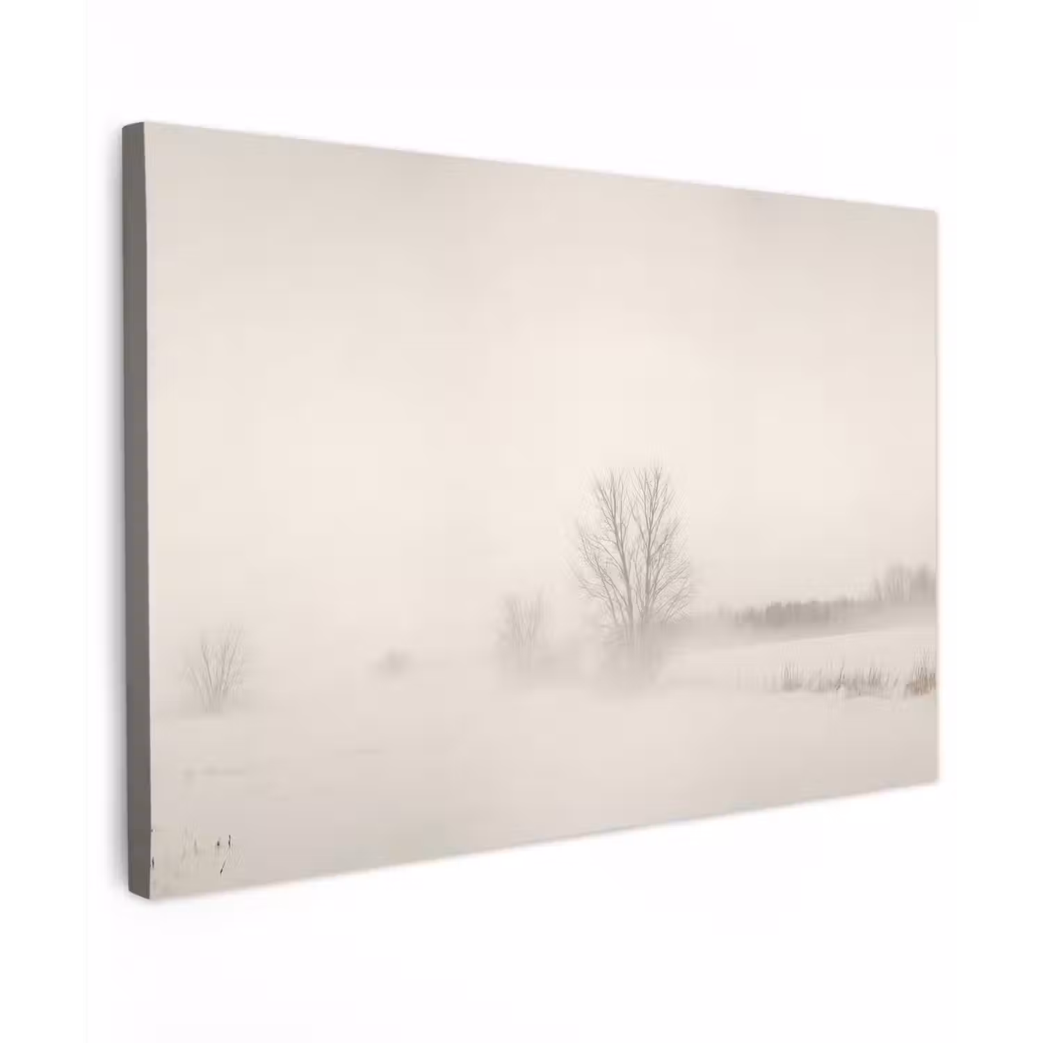Boom - Mist - Sneeuw - Winter - Minimalistisch Tuinposter op houten frame 2 cm dik klein -3d