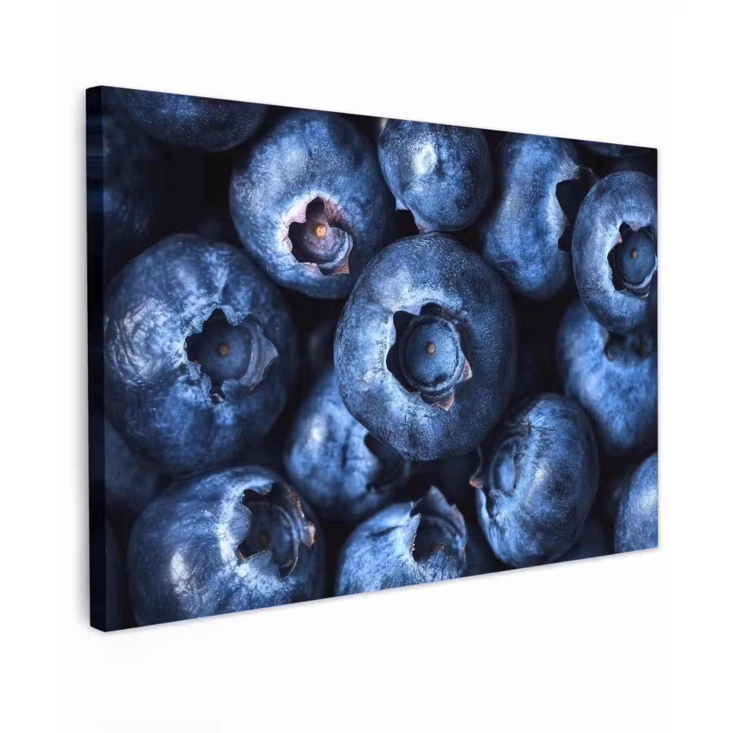 Bessen - Blauw - Fruit Tuinposter op houten frame 2 cm dik klein -3d