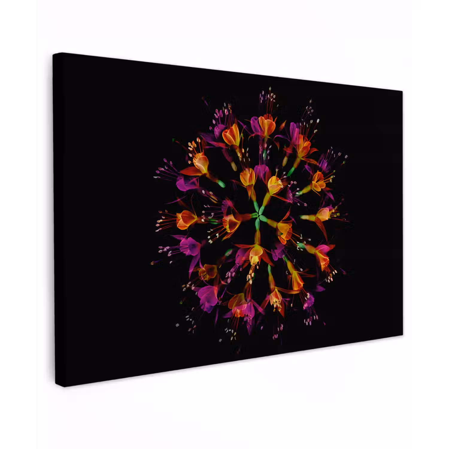 Bloemen - Oranje - Roze - Zwart Tuinposter op houten frame 2 cm dik klein -3d