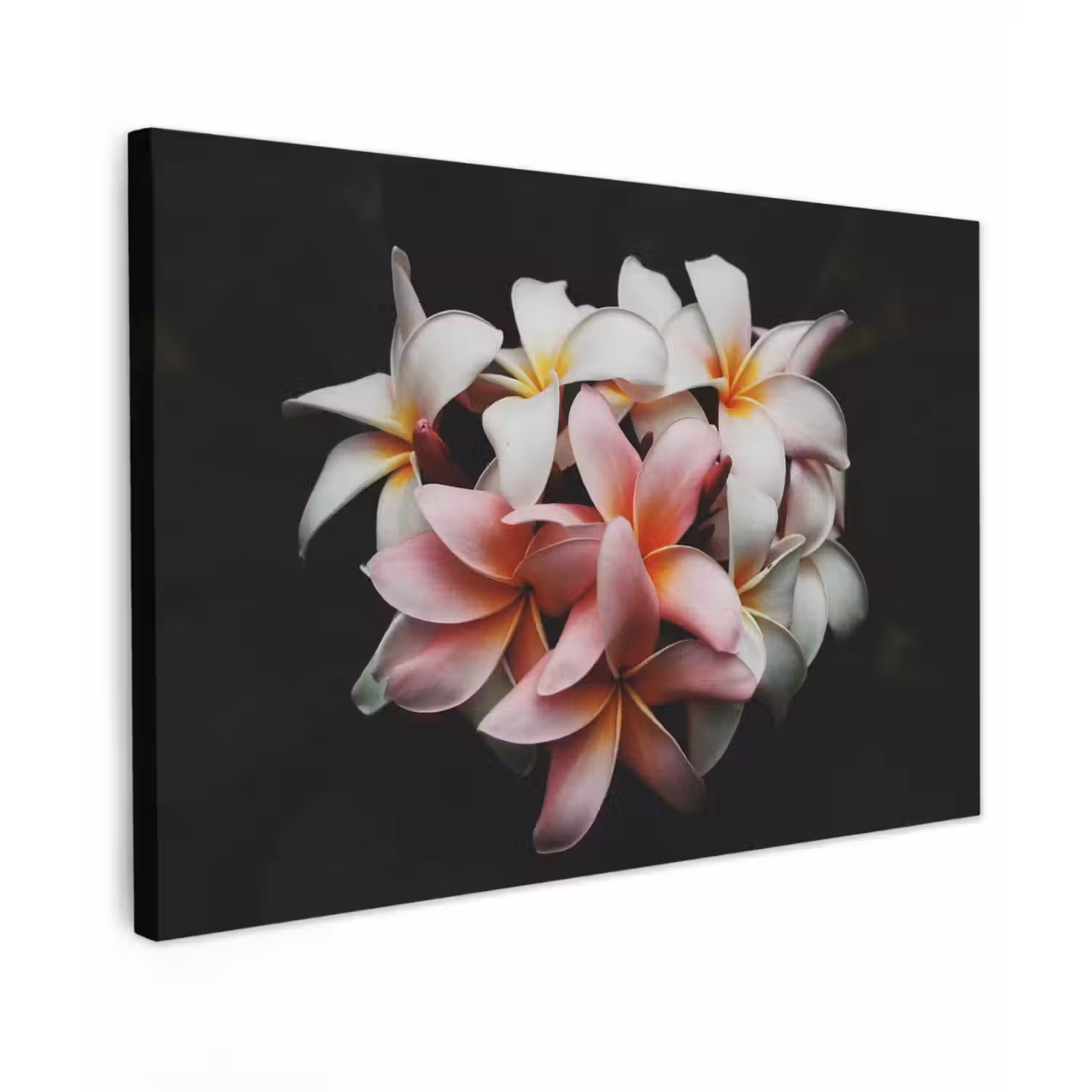 Bloemen - Roze - Zwart - Flora - Botanisch Tuinposter op houten frame 2 cm dik klein -3d