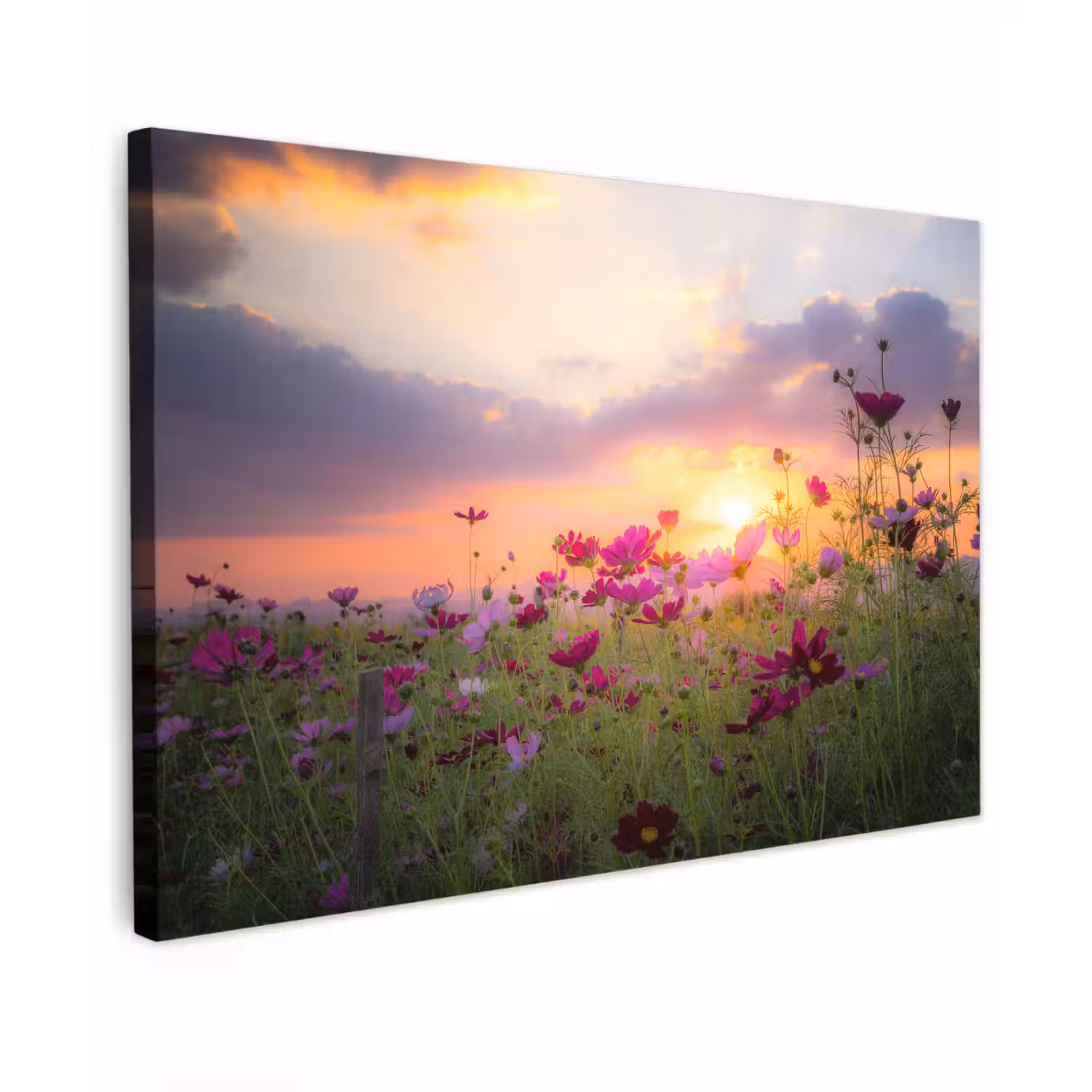 Bloemen - Roze - Zonsondergang - Natuur - Weide - Horizon Tuinposter op houten frame 2 cm dik klein -3d
