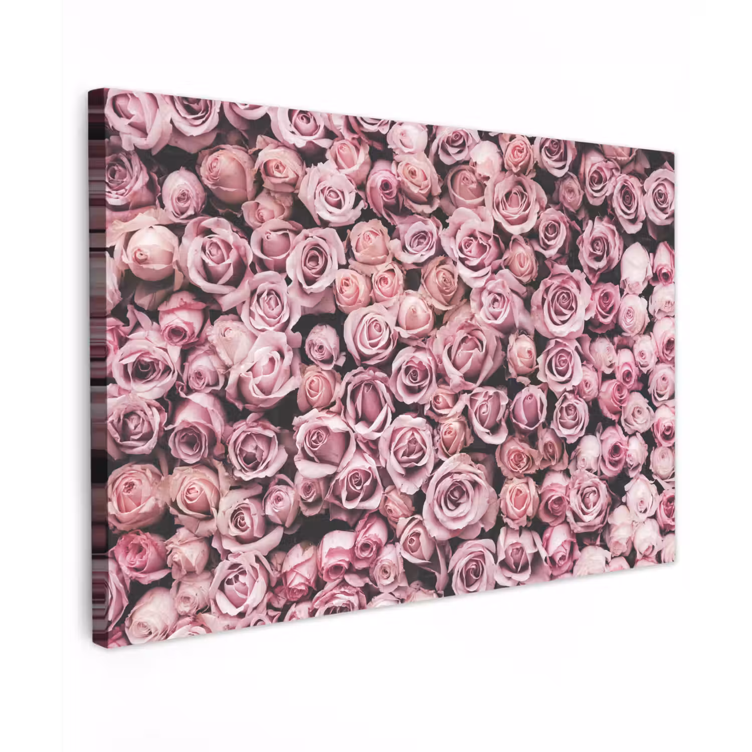Bloemen - Rozen - Natuur - Roze - Botanisch Tuinposter op houten frame 2 cm dik klein -3d