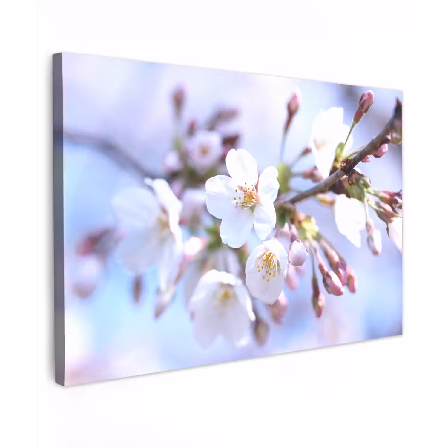 Bloemen - Sakura - Tak - Bloesem takken Tuinposter op houten frame 2 cm dik klein -3d