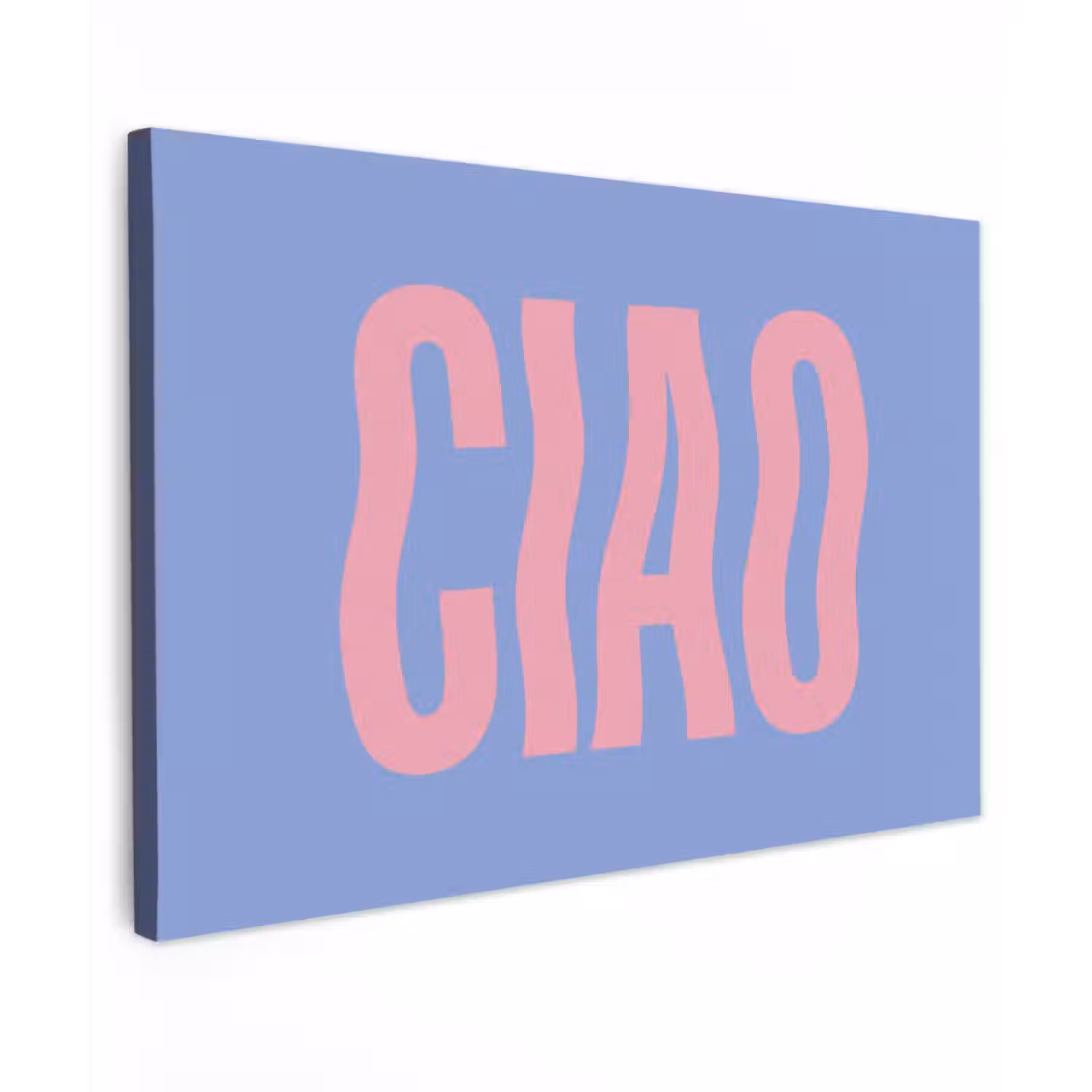 Ciao - Roze - Blauw - Golvend Tuinposter op houten frame 2 cm dik klein -3d