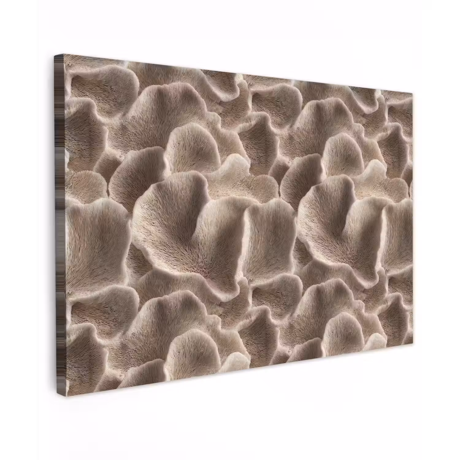 Waaiervorm - Beige - Vezel textuur Tuinposter op houten frame 2 cm dik klein 845 -3d