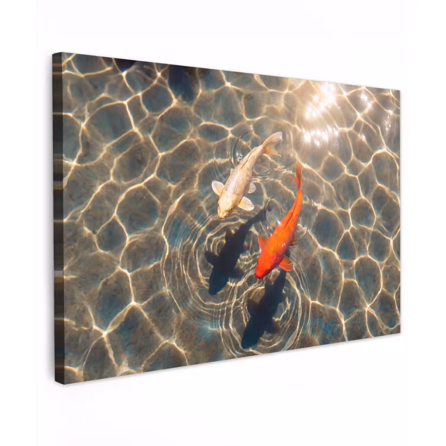 Vis - Water - Dieren - Oranje - Goud Tuinposter op houten frame 2 cm dik klein -3d