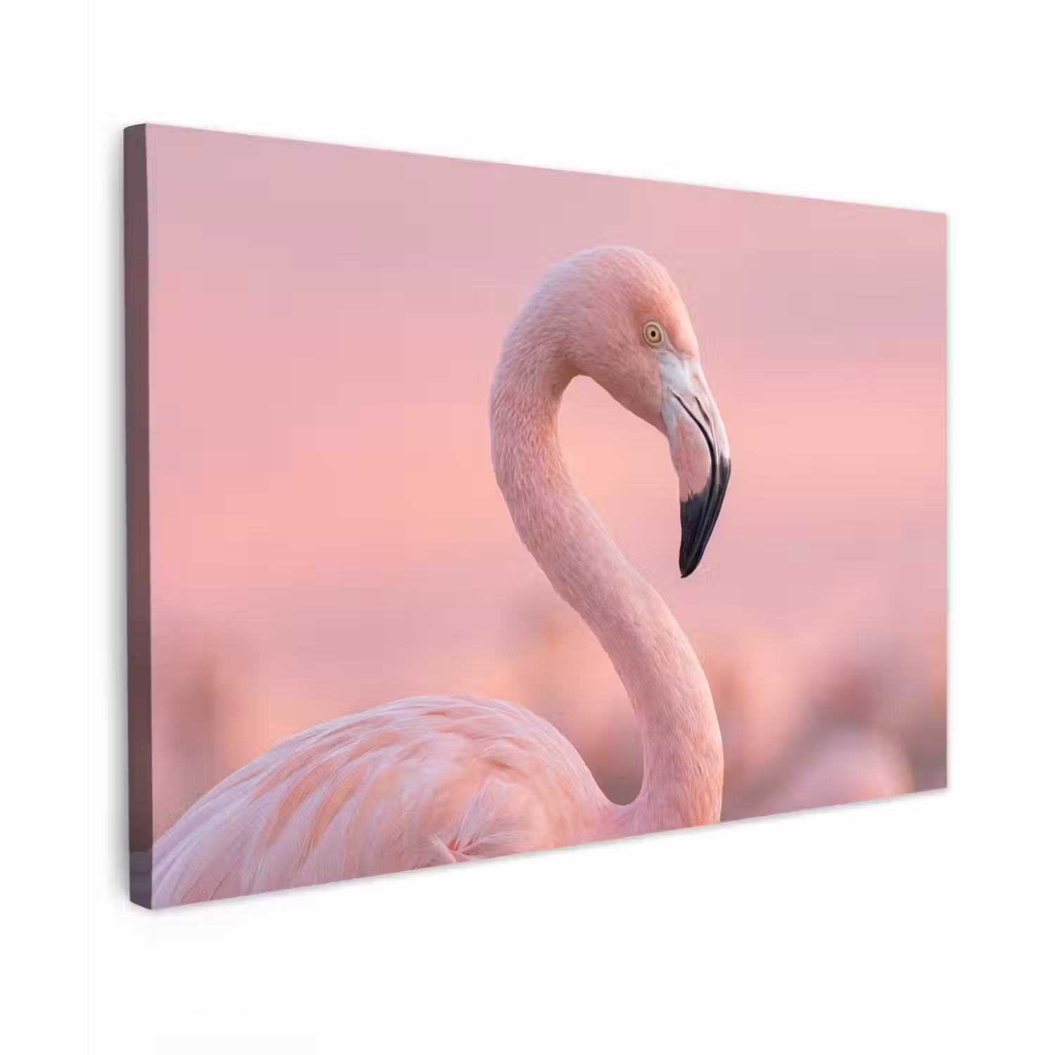 Flamingo - Portret - Roze Tuinposter op houten frame 2 cm dik klein -3d