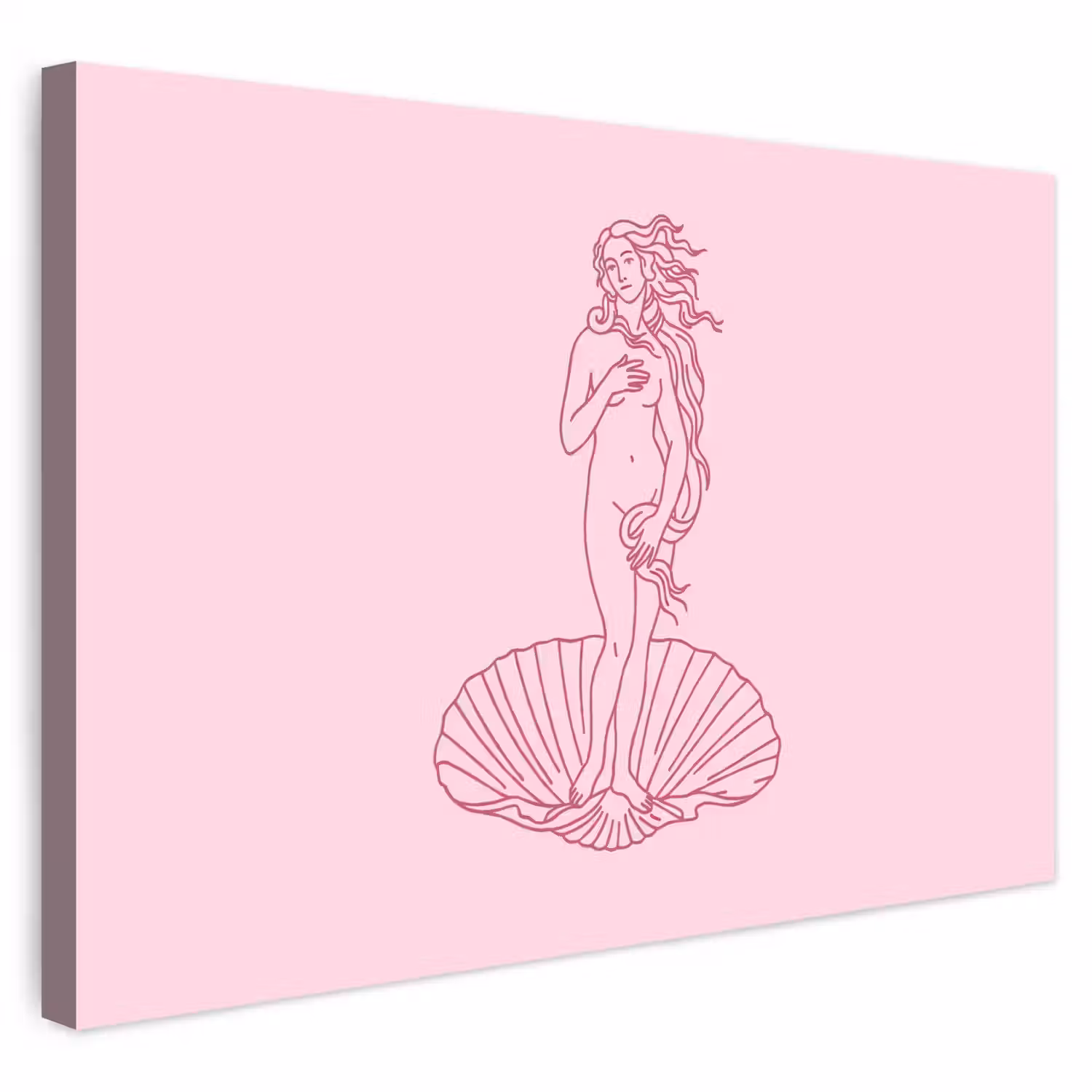Vrouw - Schelp - Kunst - Lijntekening - Roze Tuinposter op houten frame 2 cm dik klein -3d