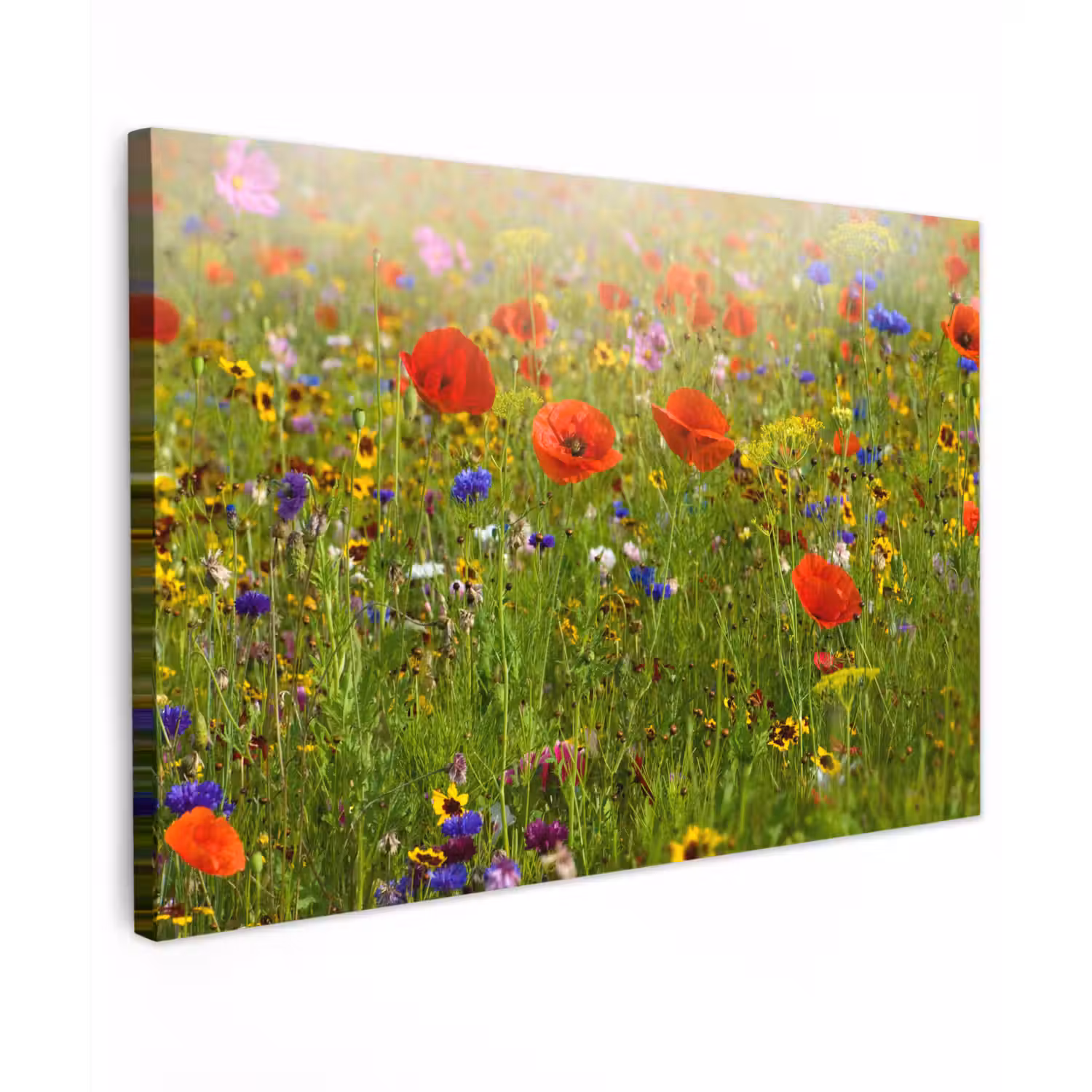 Lente - Bloemen - Rood - Klaproos - Gras - Groen Tuinposter op houten frame 2 cm dik klein -3d