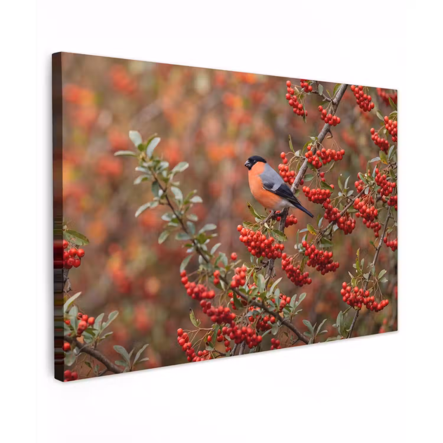 Goudvink - Bessen - Herfst - Natuur - Kleurrijk Tuinposter op houten frame 2 cm dik klein -3d