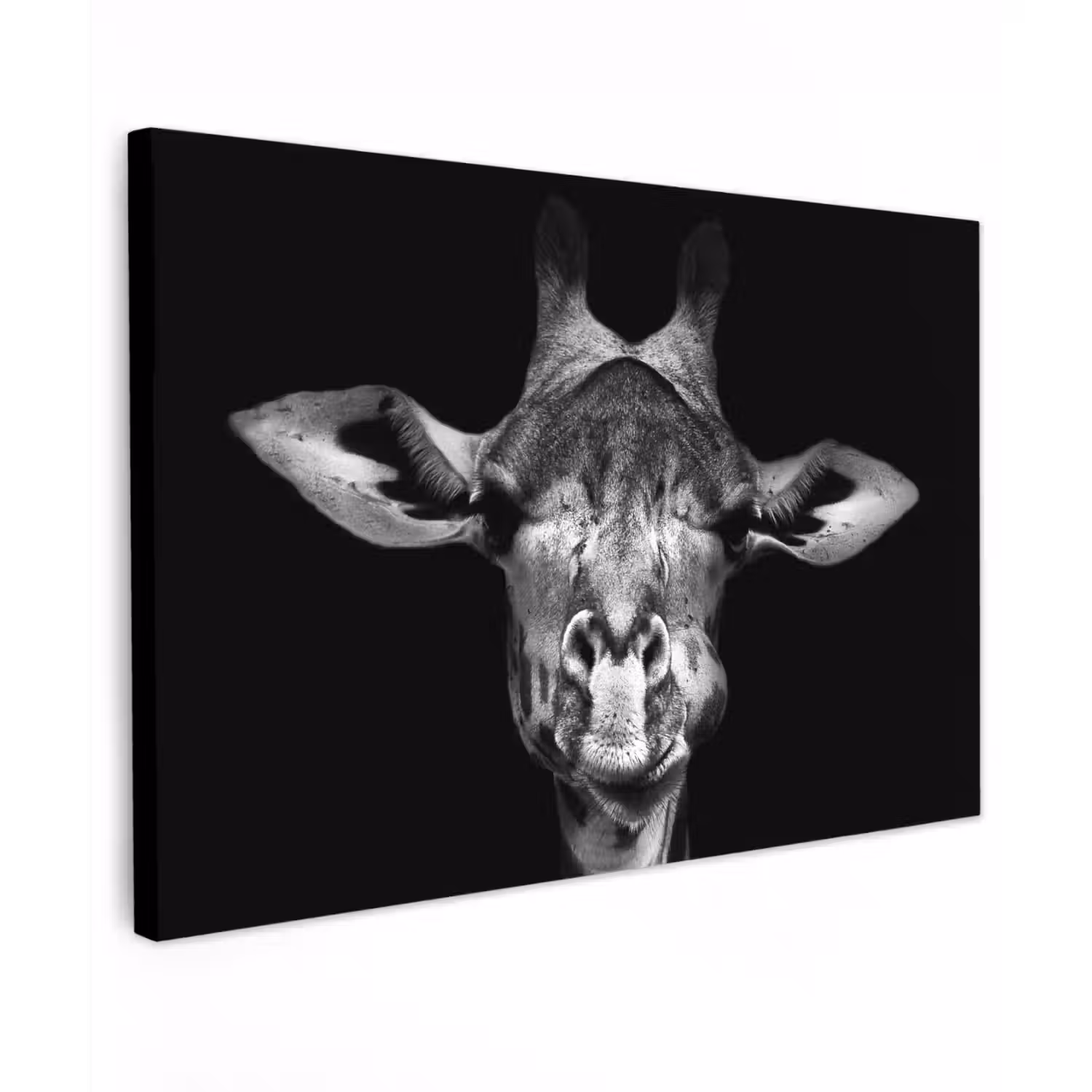 Giraffe - Portret - Dieren - Zwart - Wit Tuinposter op houten frame 2 cm dik klein -3d