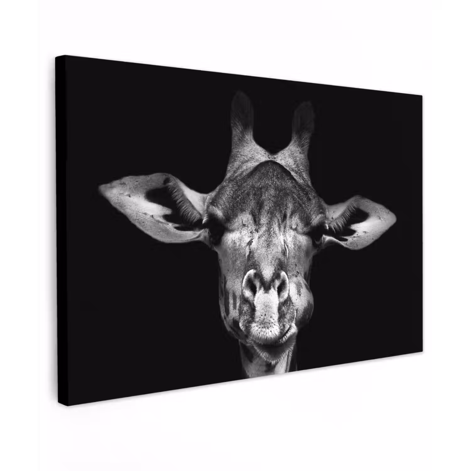 Giraffe portret in zwart-wit Tuinposter op houten frame 2 cm dik klein -3d
