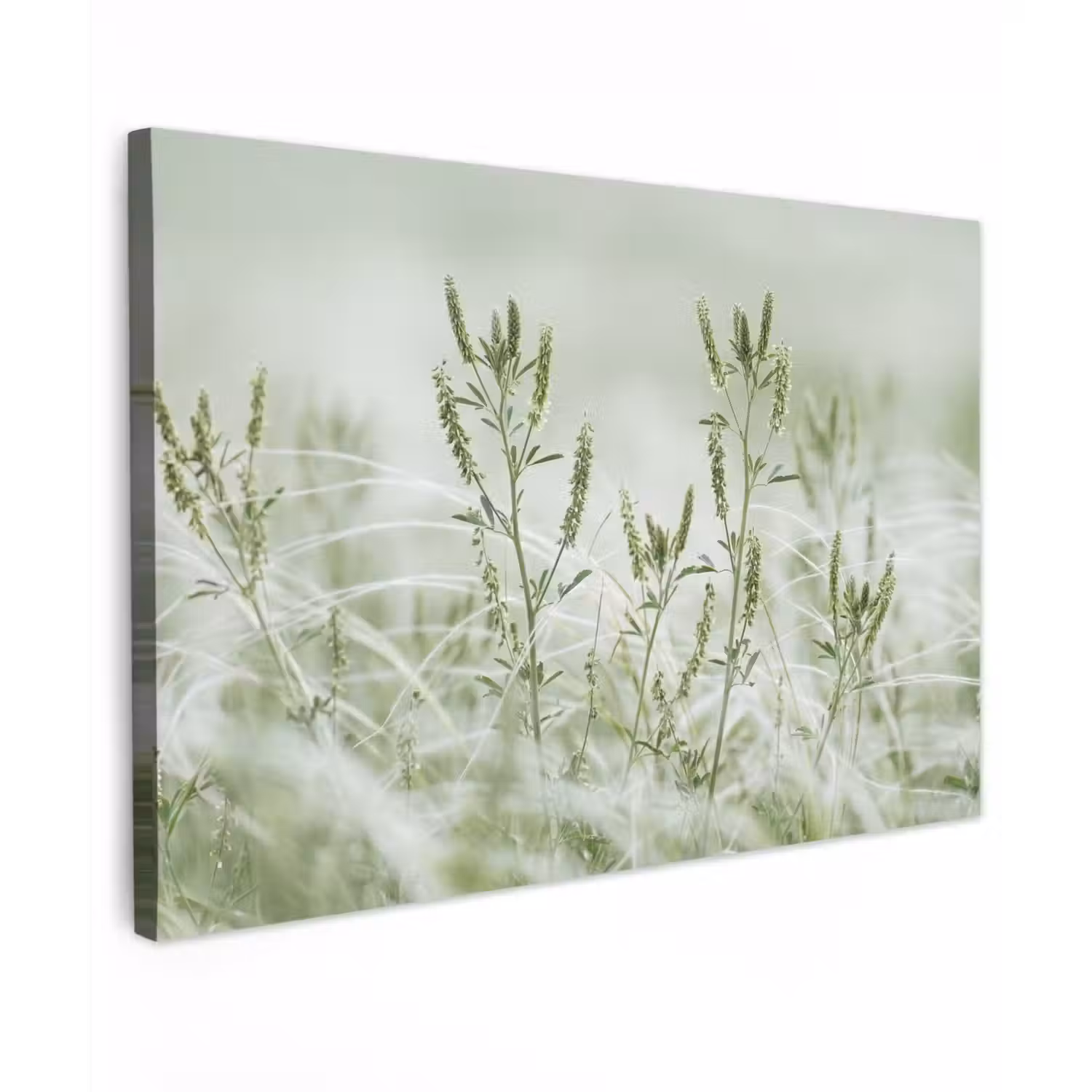 Grassen - Minimalistisch - Groen Tuinposter op houten frame 2 cm dik klein -3d