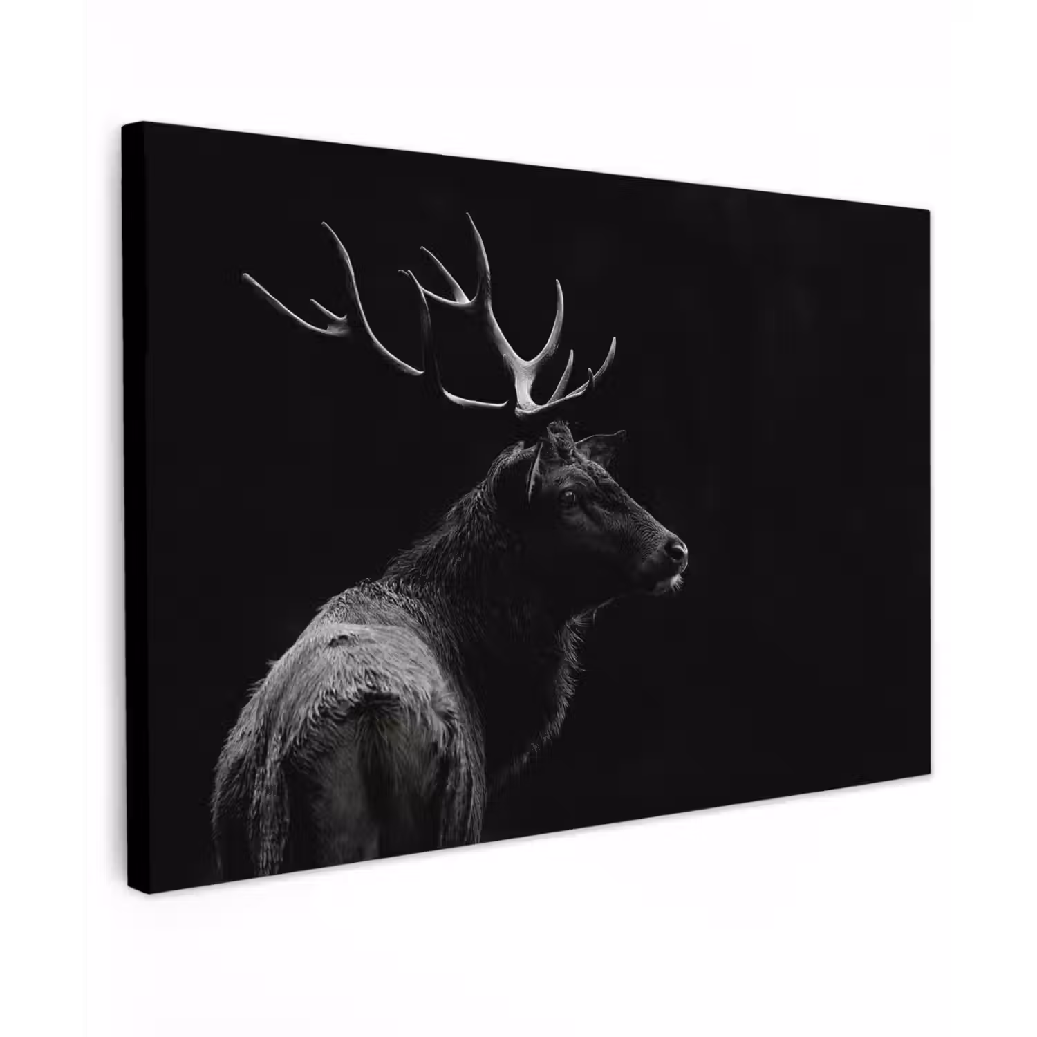 Hert - Zwart - Portret - Gewei - Dieren Tuinposter op houten frame 2 cm dik klein -3d