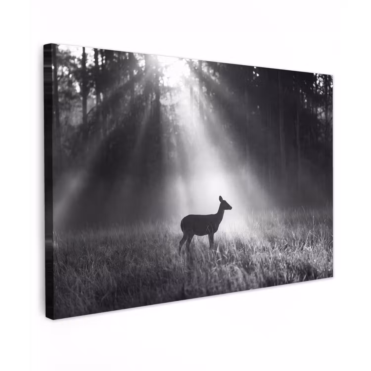 Hert - Bos - Zonnestralen - Zwart-wit - Natuur Tuinposter op houten frame 2 cm dik klein -3d