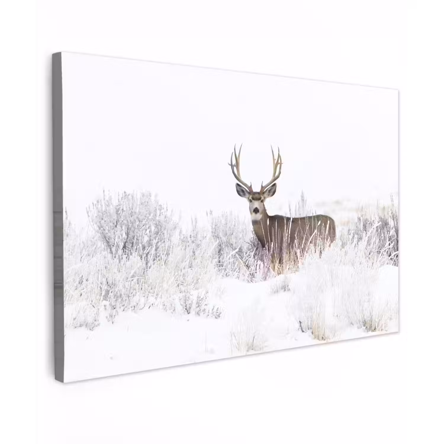 Hert - Winter - Sneeuw - Dieren - Seizoenen - Wit Tuinposter op houten frame 2 cm dik klein -3d