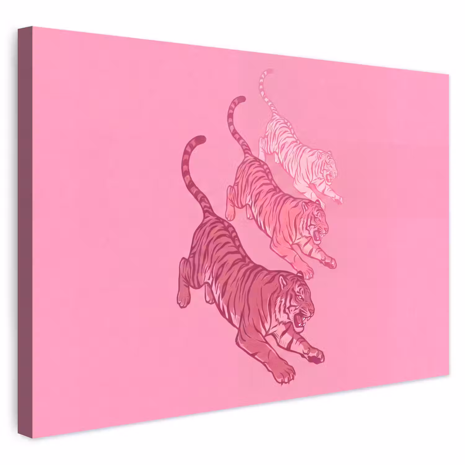 Kat - Springend - Dieren - Roze - Modern Tuinposter op houten frame 2 cm dik klein -3d