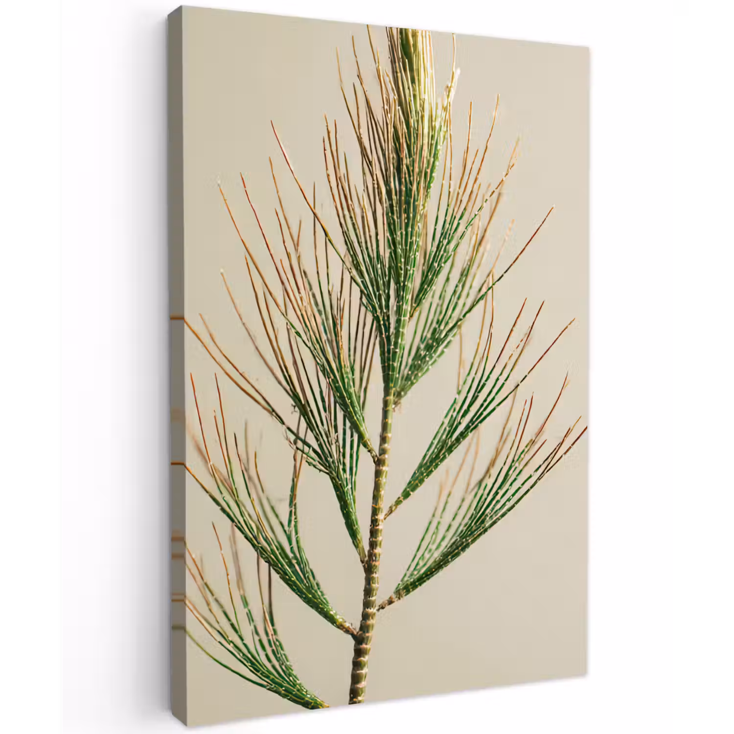 Dennentak - Naaldvormige bladeren - Lichtgroen Tuinposter op houten frame 2 cm dik klein -3d