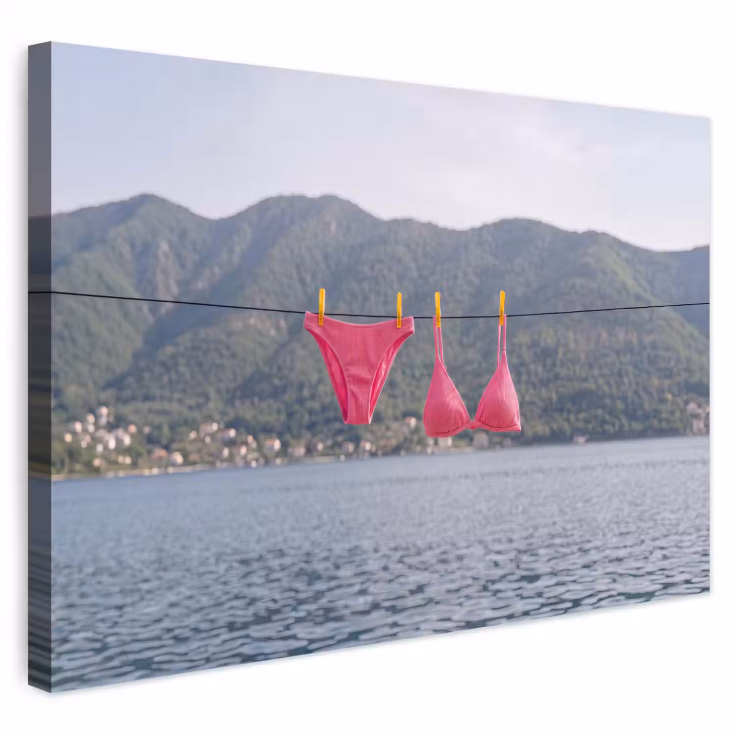 Kleding - Badkleding - Waslijn - Zomer - Roze Tuinposter op houten frame 2 cm dik klein -3d