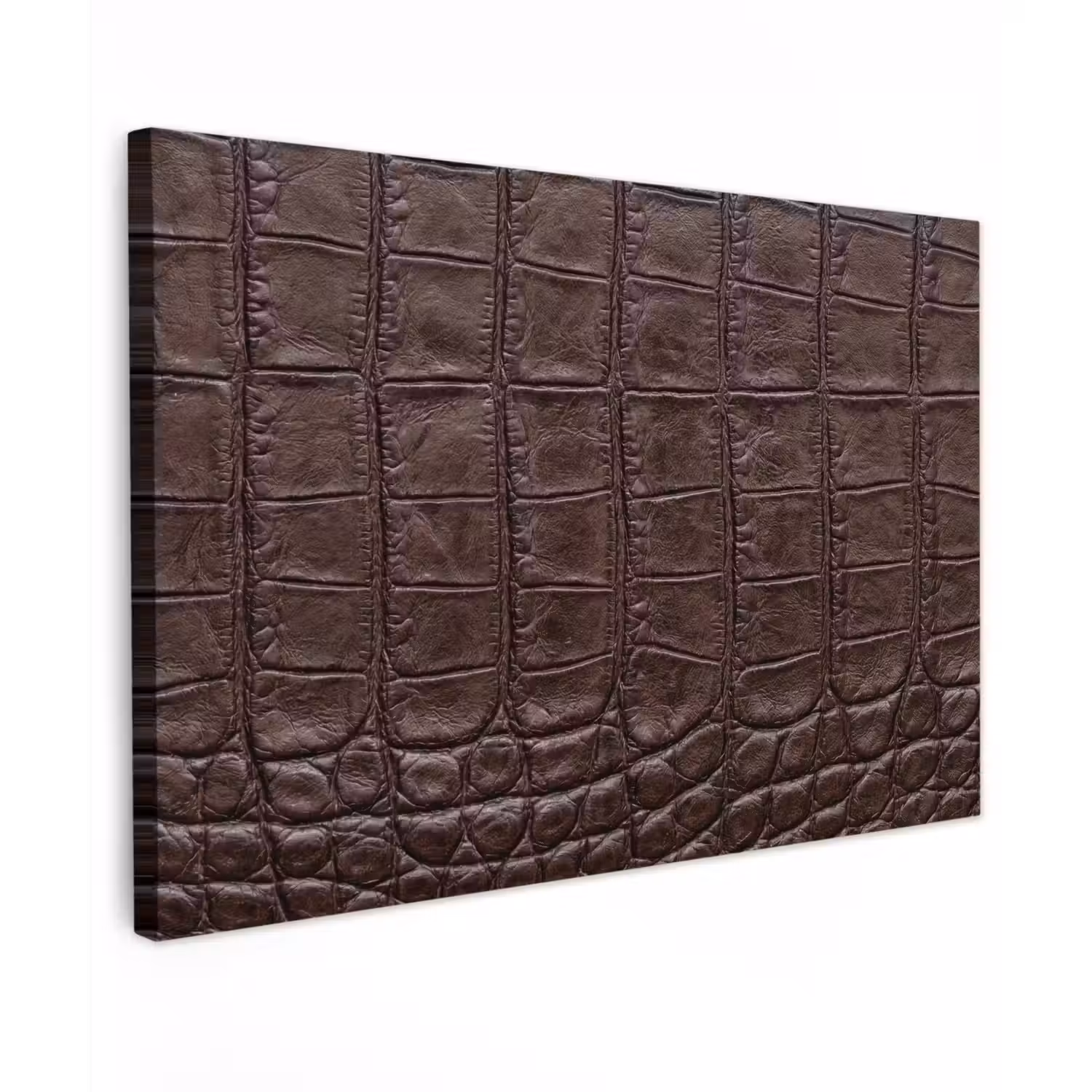 Krokodil - Leer - Bruin Tuinposter op houten frame 2 cm dik klein -3d